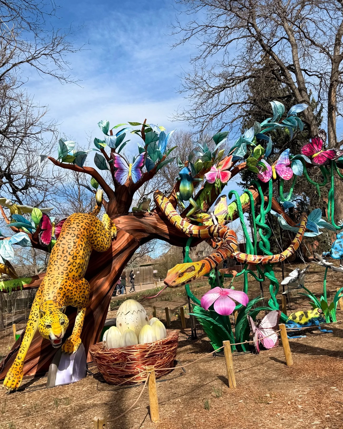 It&rsquo;s a zoo out there&hellip; 🐸🐘🐯🐆🦁🦓🦎🦜🐵🦒🦩