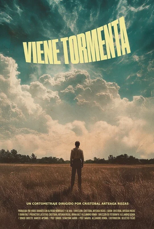 Poster-A Storm is coming.jpg