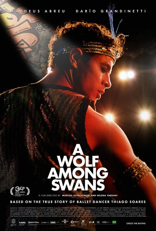 Poster-A Wolf Among Swans.jpg