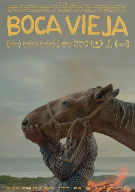 Poster-Boca Vieja.jpg