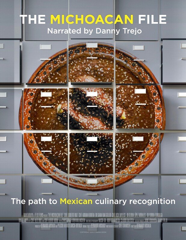 Poster-The Michoacan File.jpg