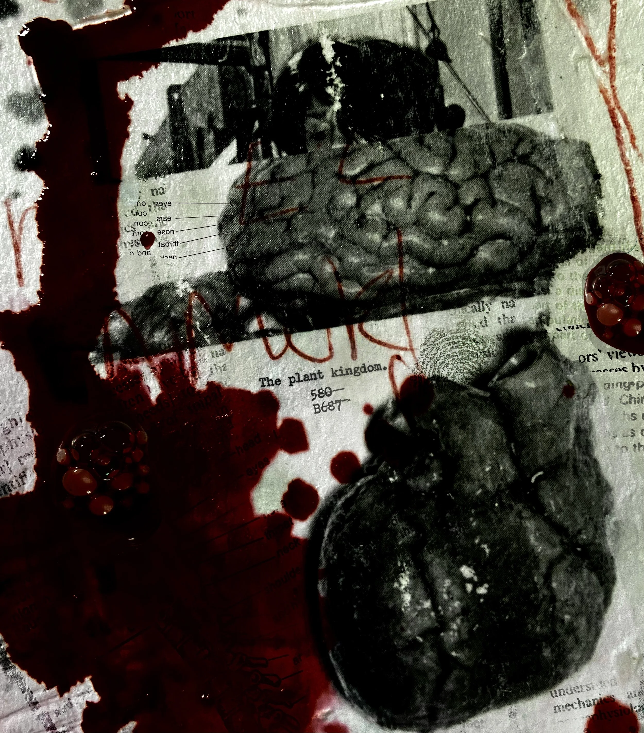 inner beauty, [analog]