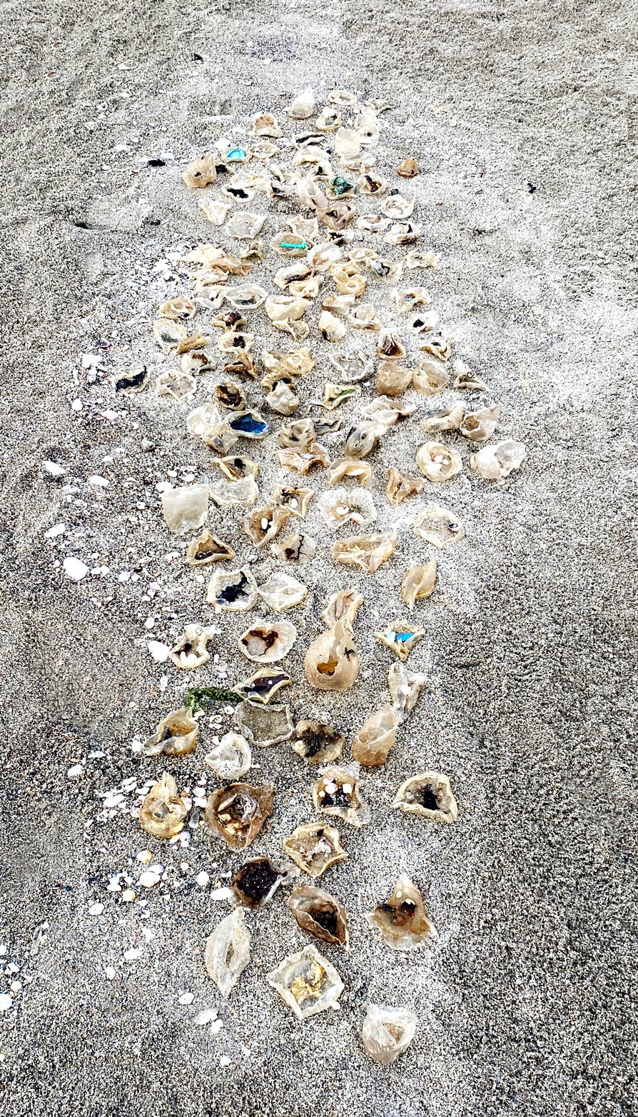 Wrack-Line-beach-install.jpg
