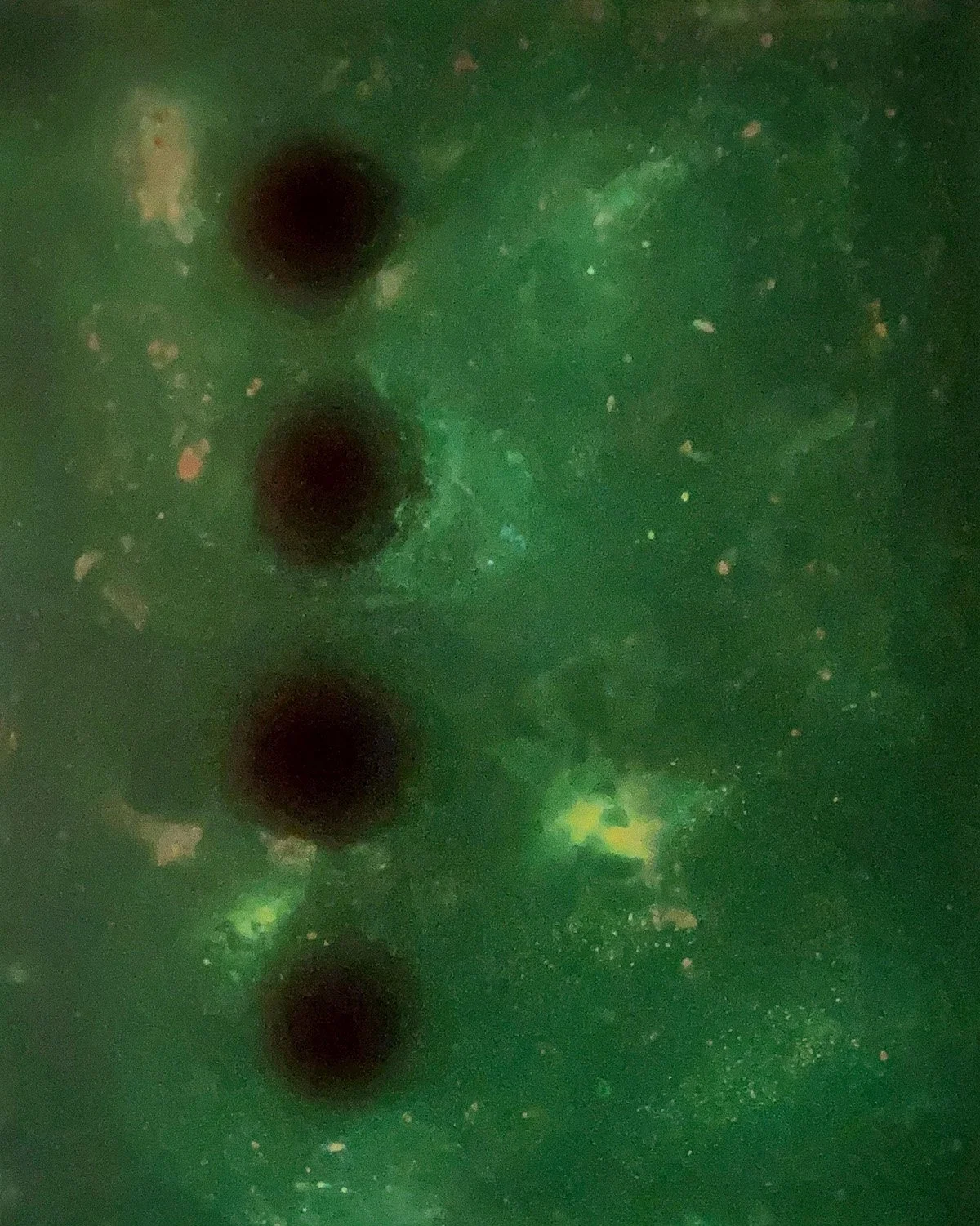 Material Investigations V