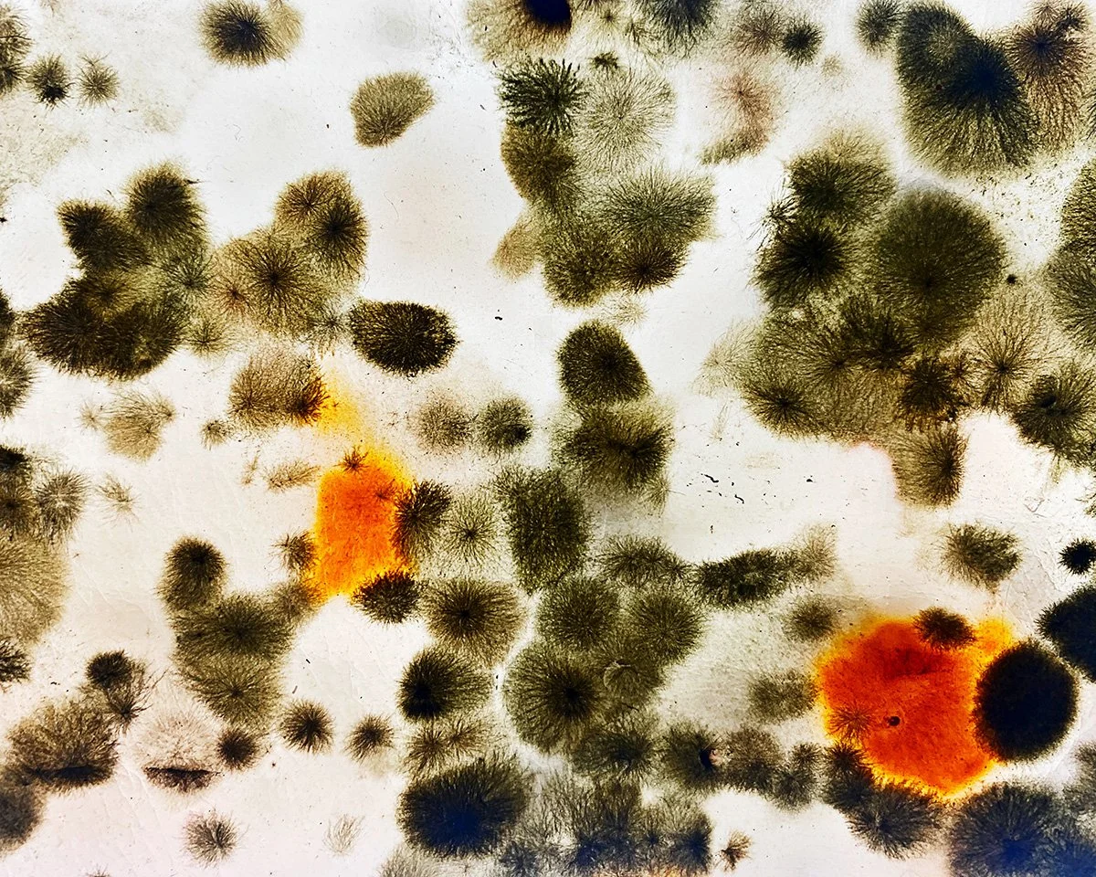 Material Investigations VI