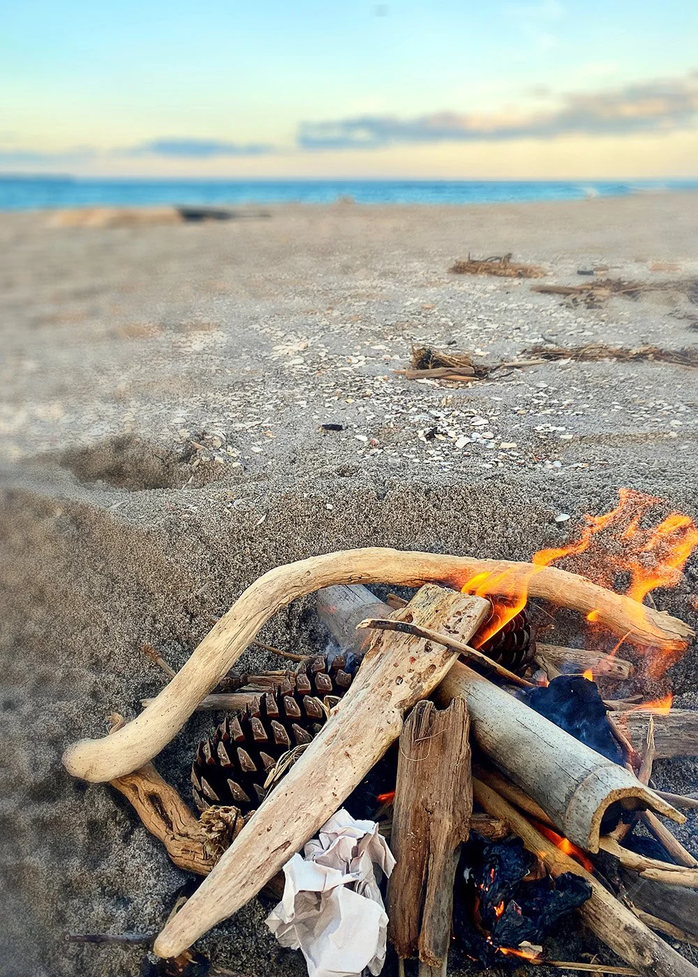 Ocean Collaboration3 .jpg