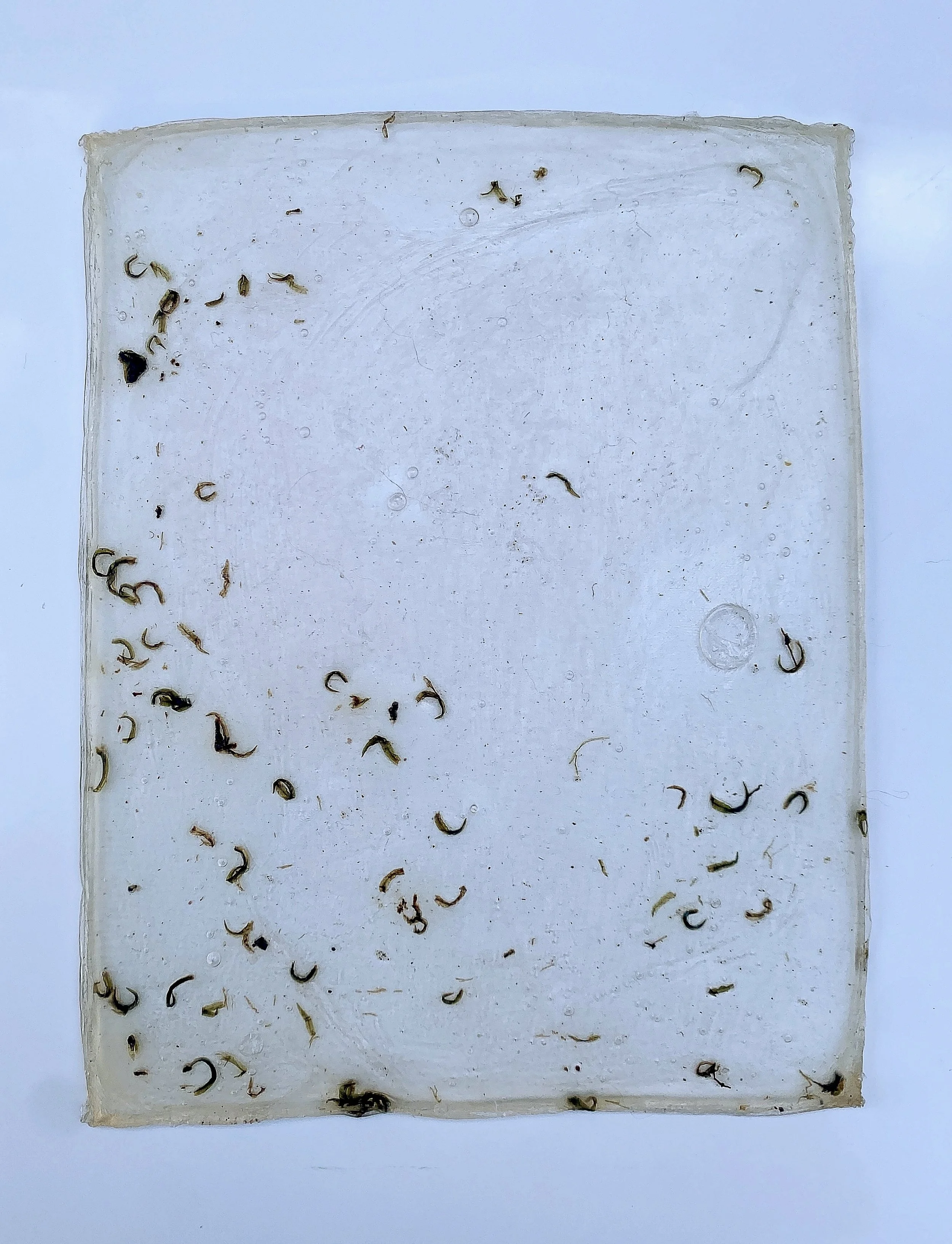 Studies - Smaller Works