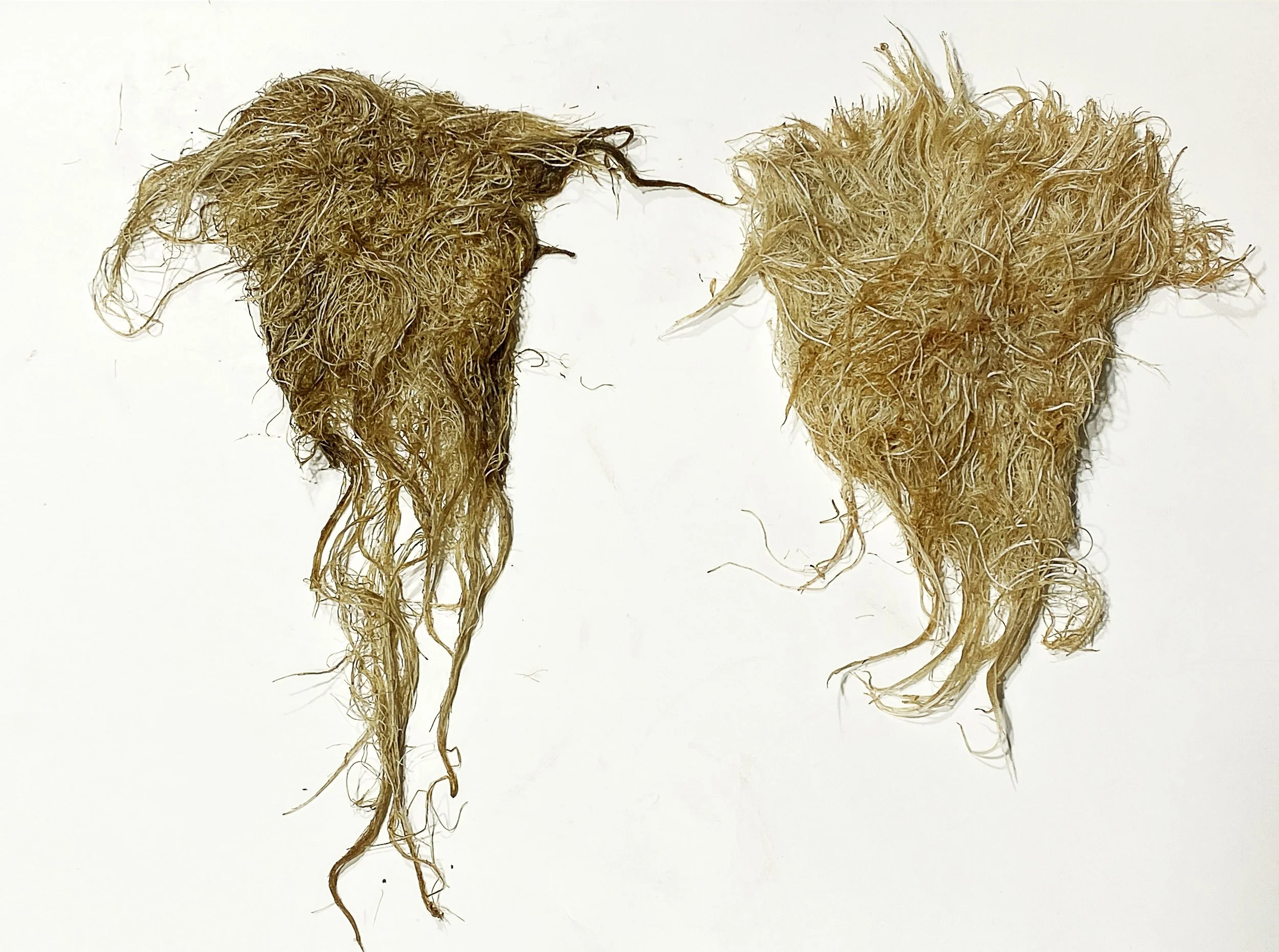 Root System Substrate