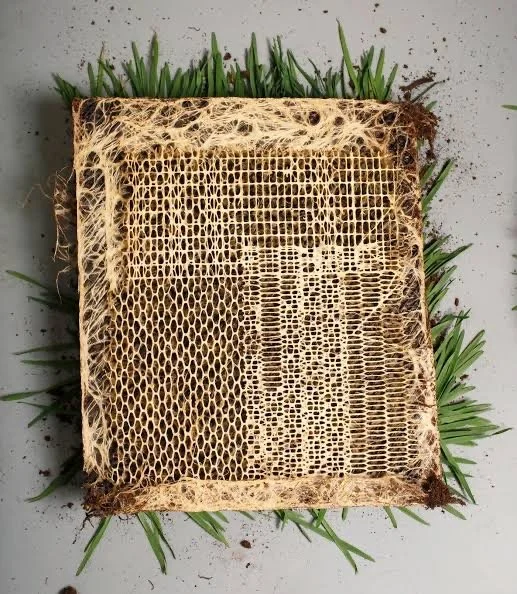 New Material &amp; New Processes