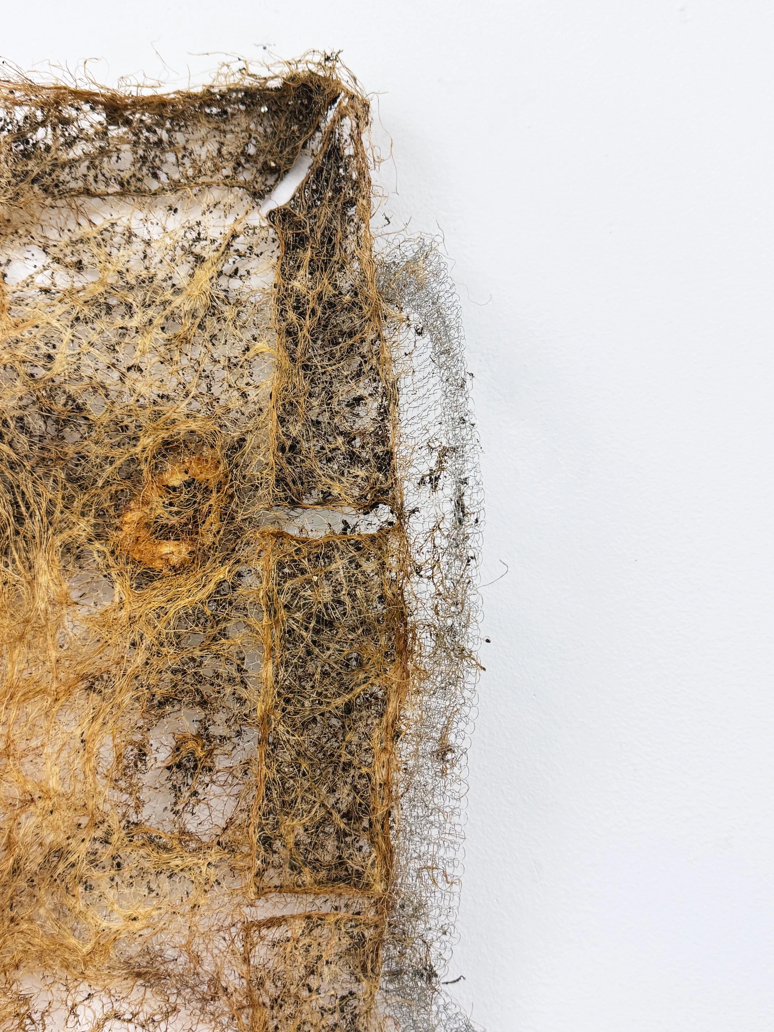 Root, Metal and Bone b.JPG