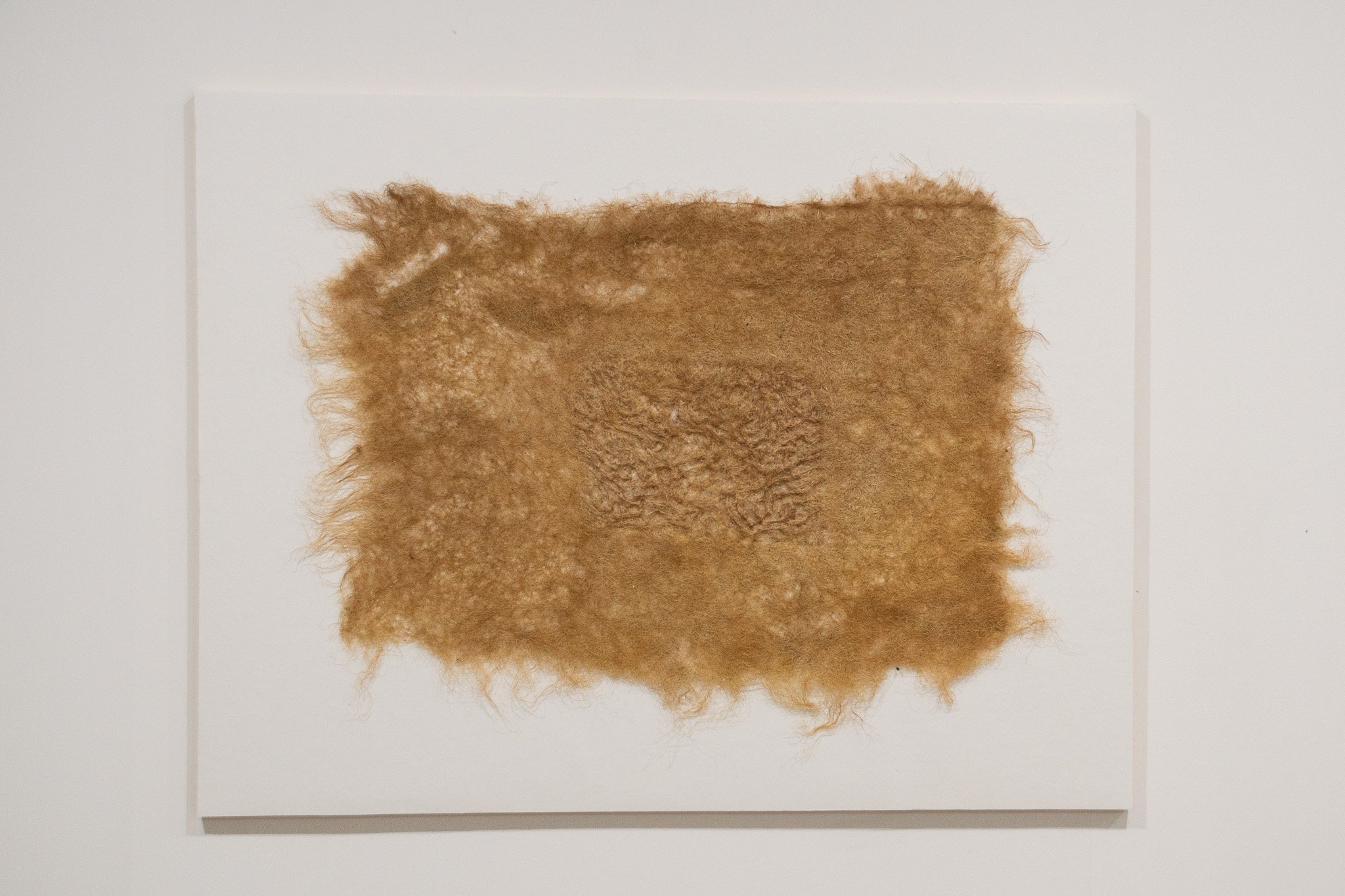 Root System produced in loom