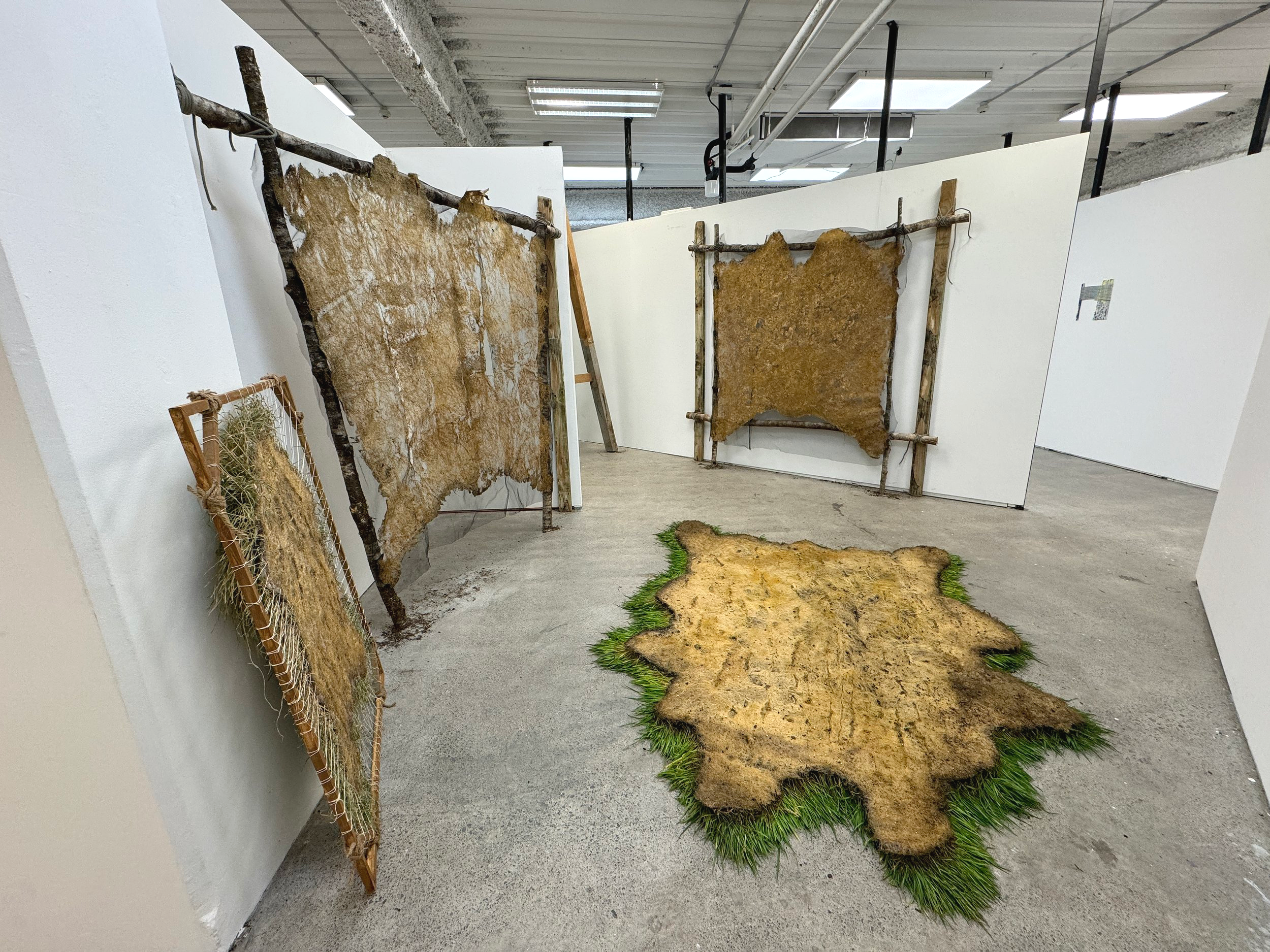 The Green Carcass installation
