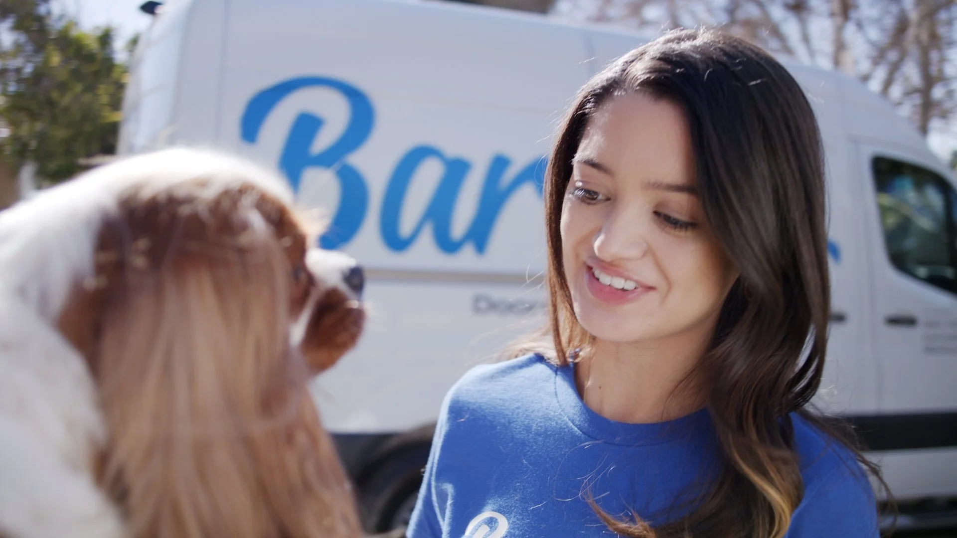 Barkbus - (Spec Ad)