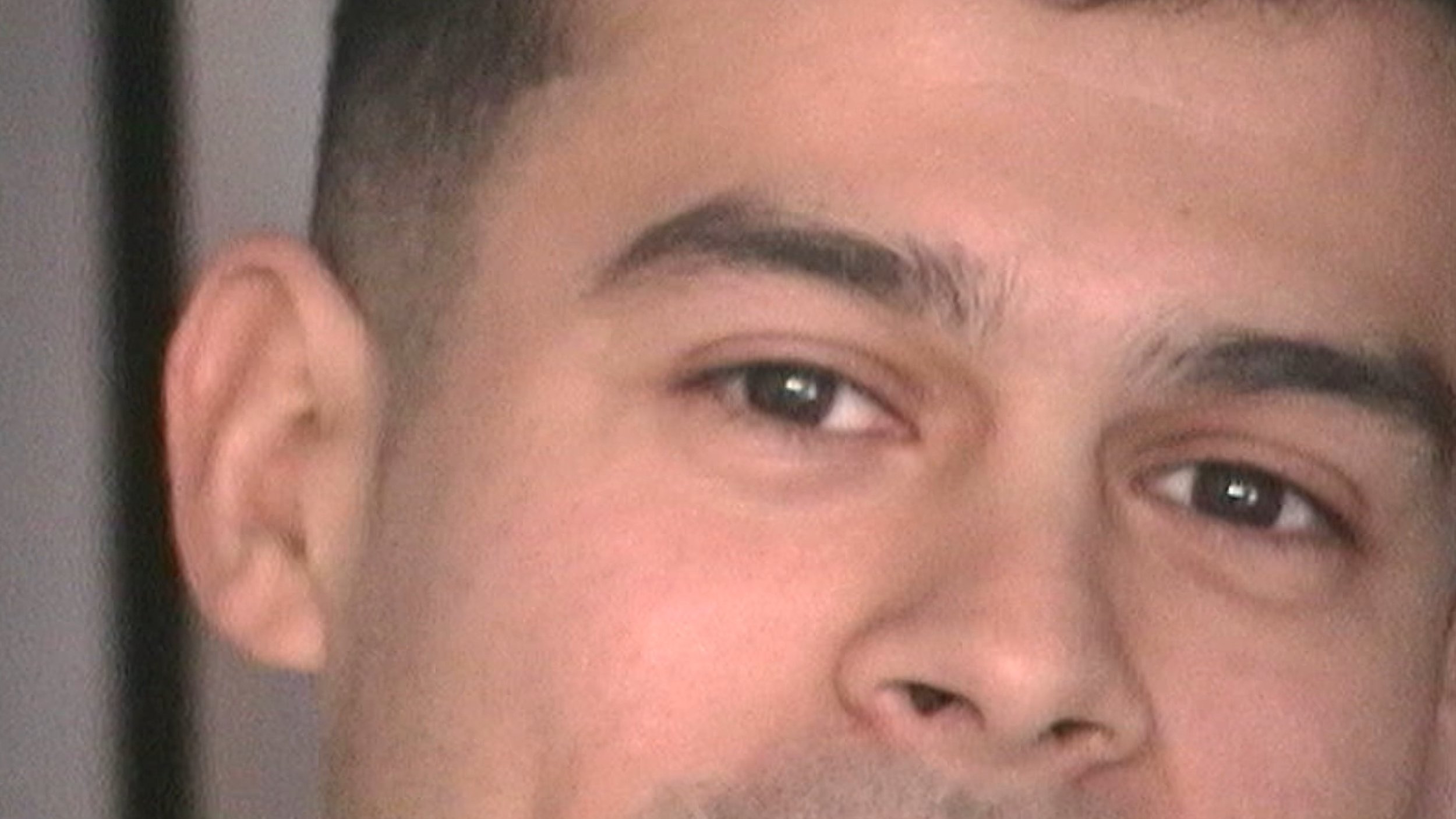 DV Stills_1.11.1.jpg