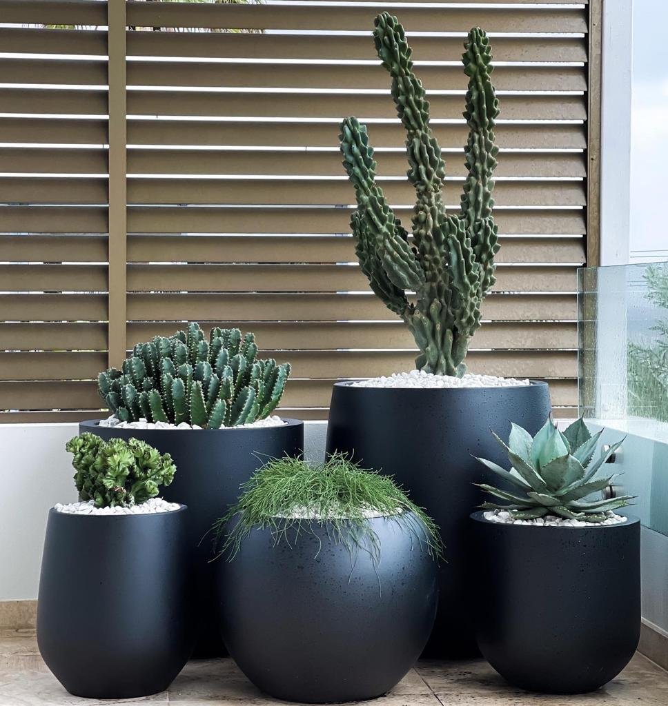 https://cdn.shopify.com/s/files/1/0717/8154/8353/products/CHENELLESGARDEN.jpg