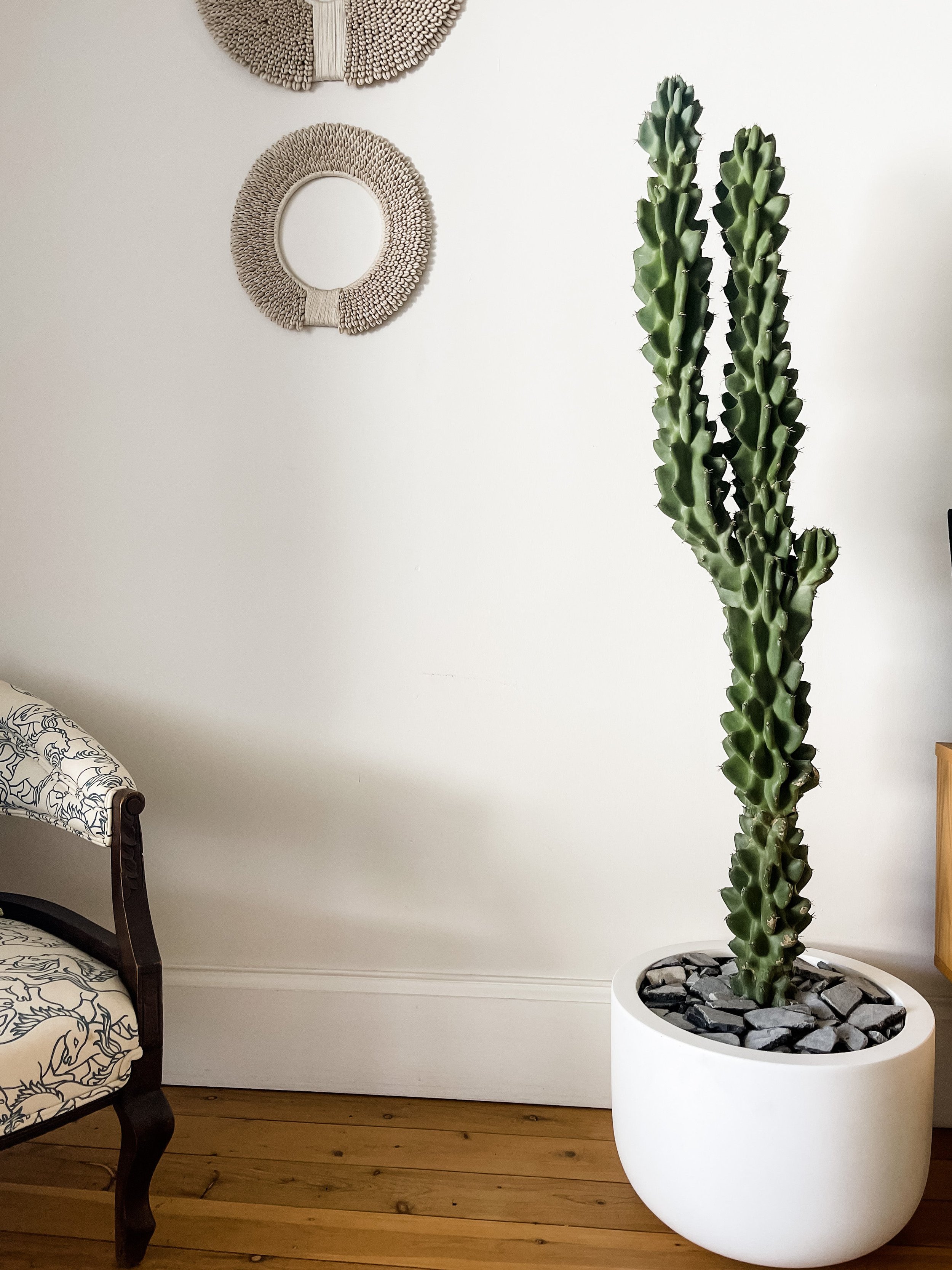 https://cdn.shopify.com/s/files/1/0717/8154/8353/products/IMG_3148.jpg