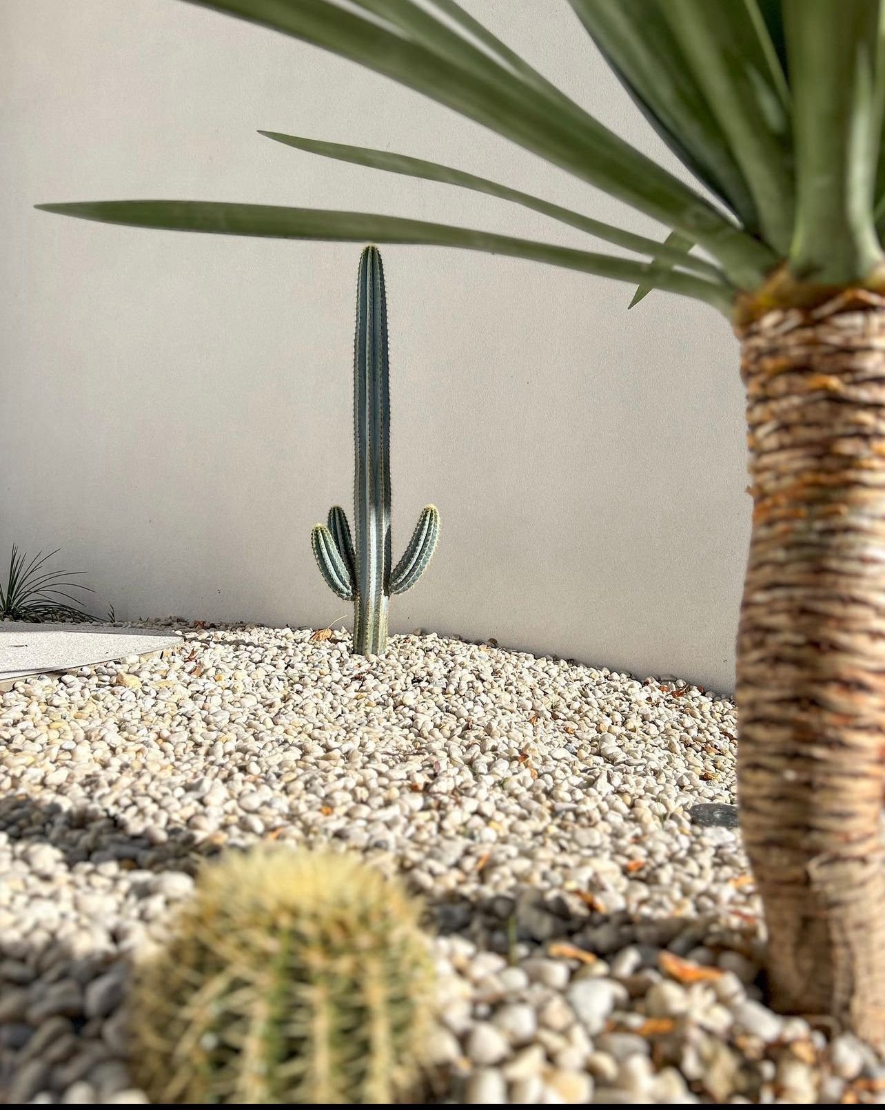 Blue_cactus_vision_21.jpeg