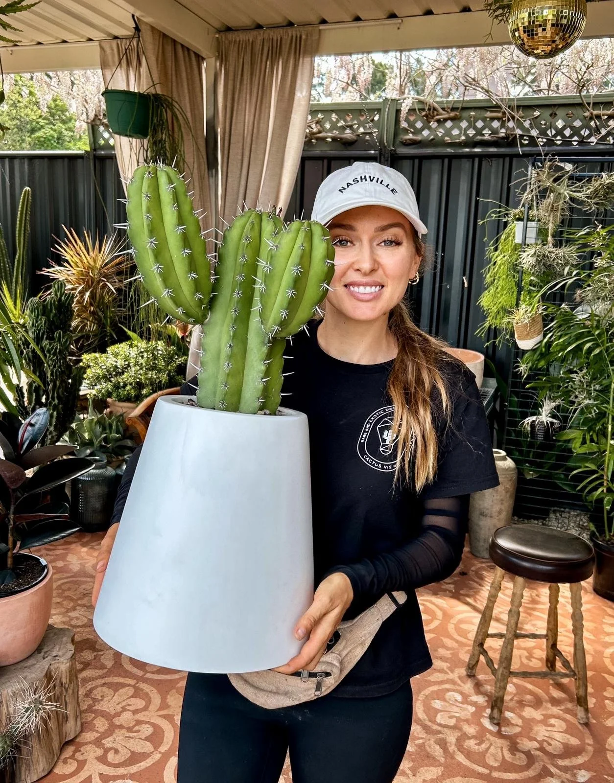 poliska_cactus_.jpeg