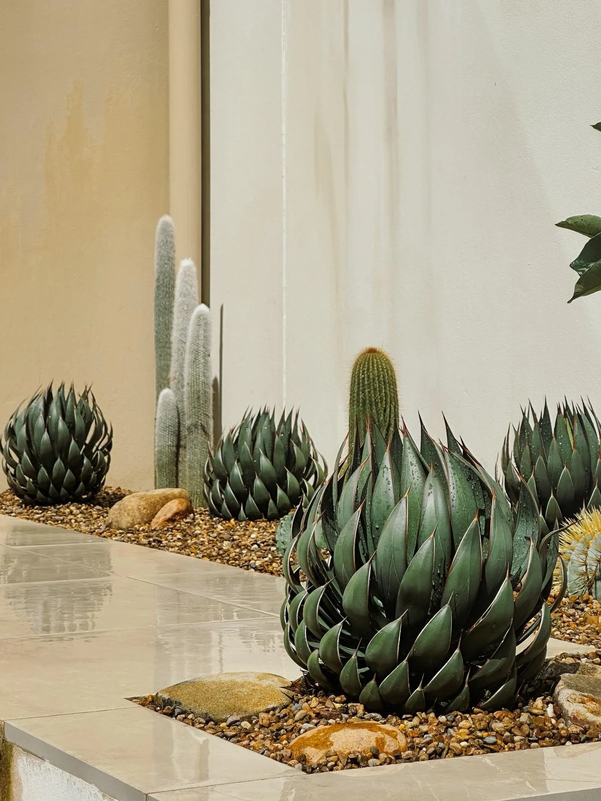 cactus_garden_sydney_praying_hands.jpeg