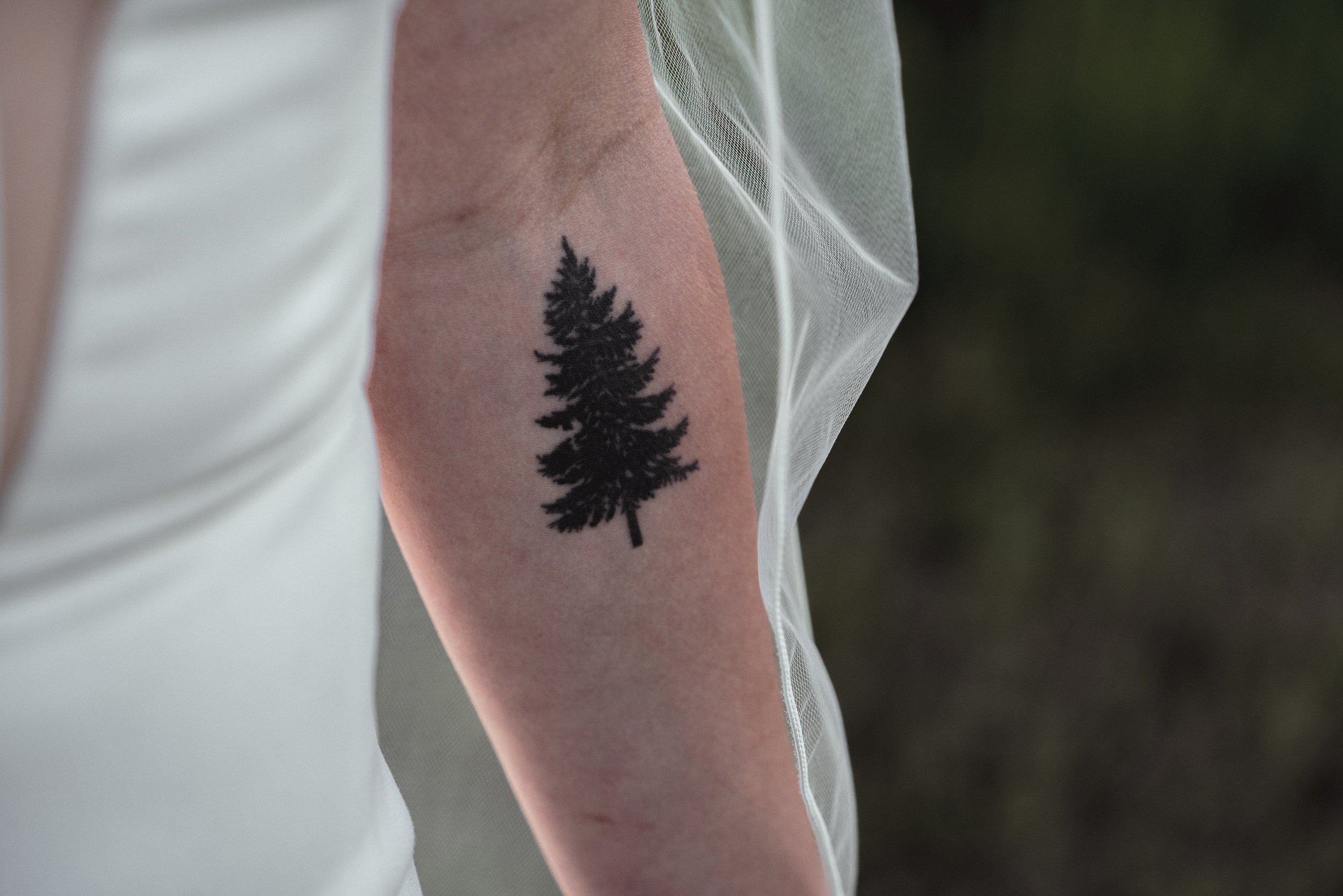 Close-up of a person's upper arm with a black silhouette tattoo of a pine tree, partially covered by a sheer white fabric.