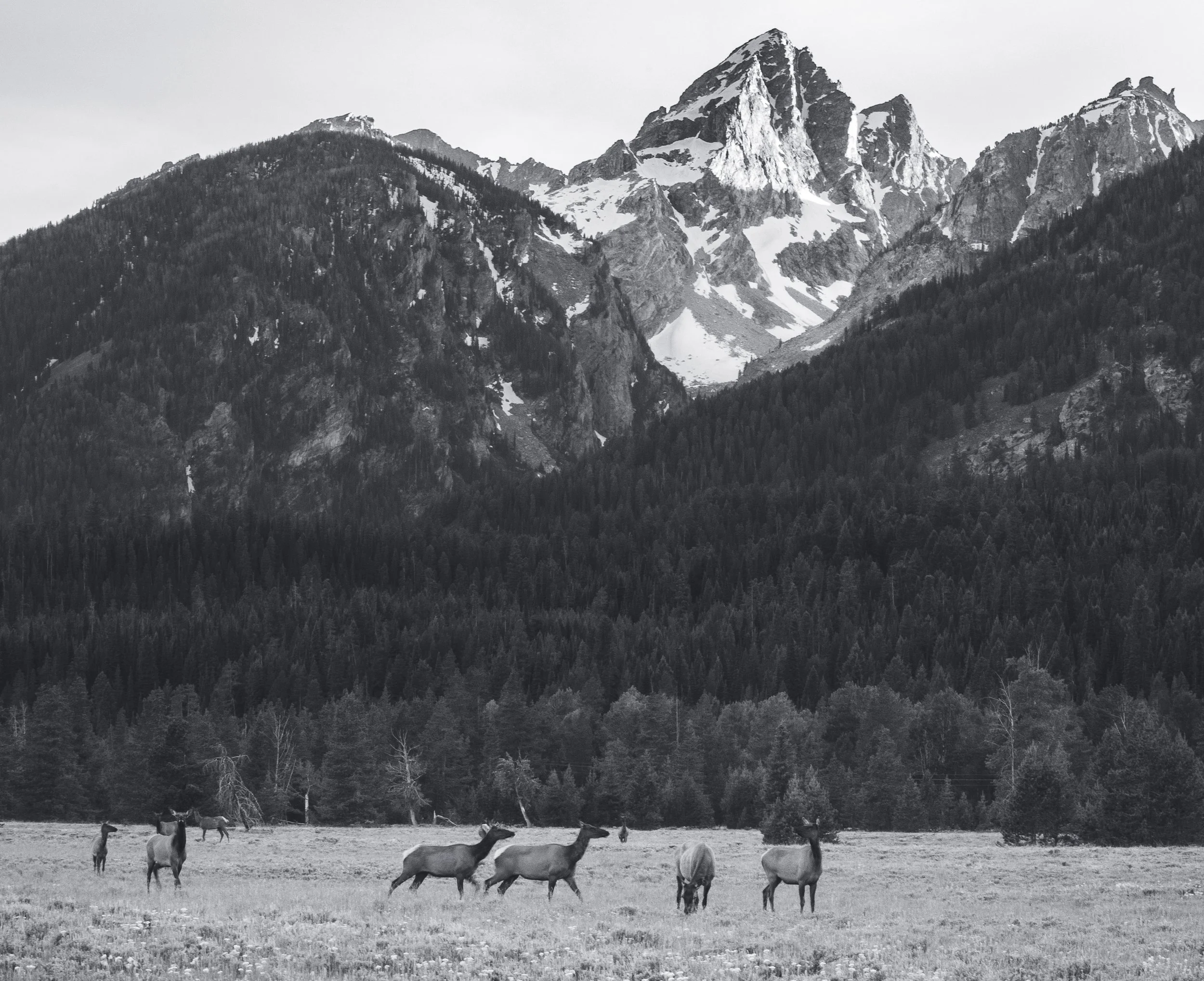 Teton View Overlook