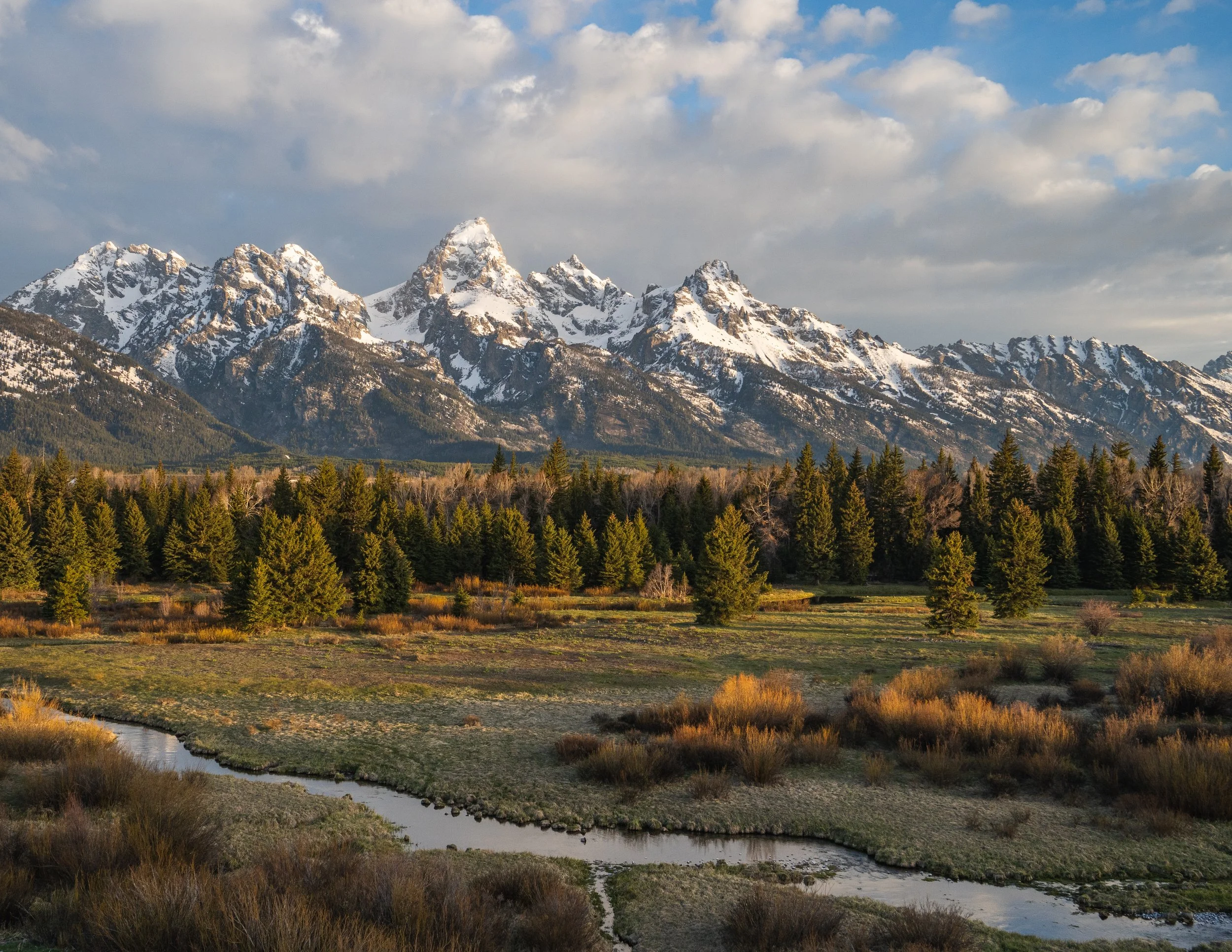 Blacktail Ponds Overlook