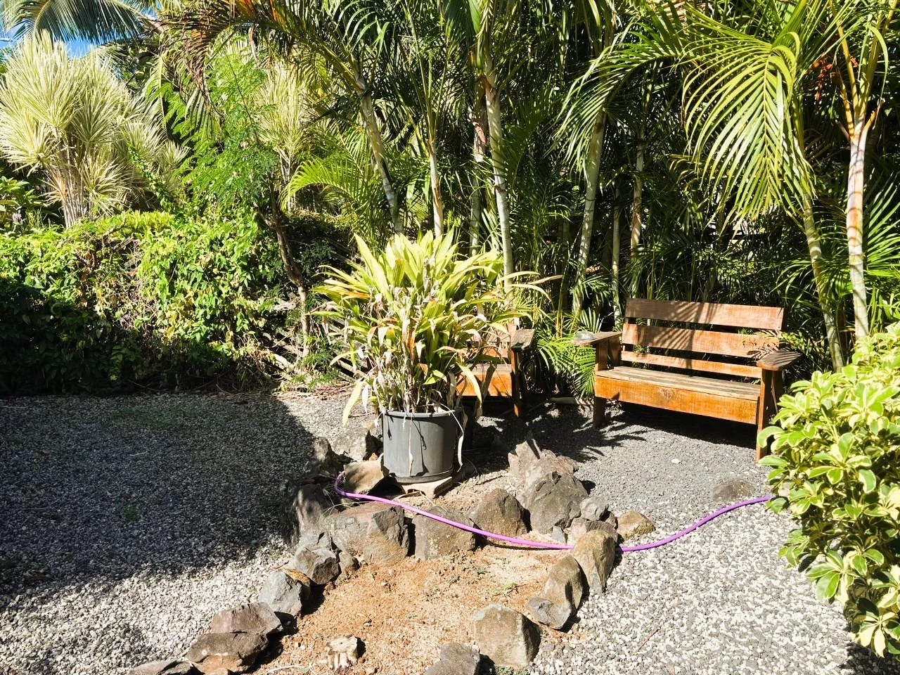 kikau F.jpg