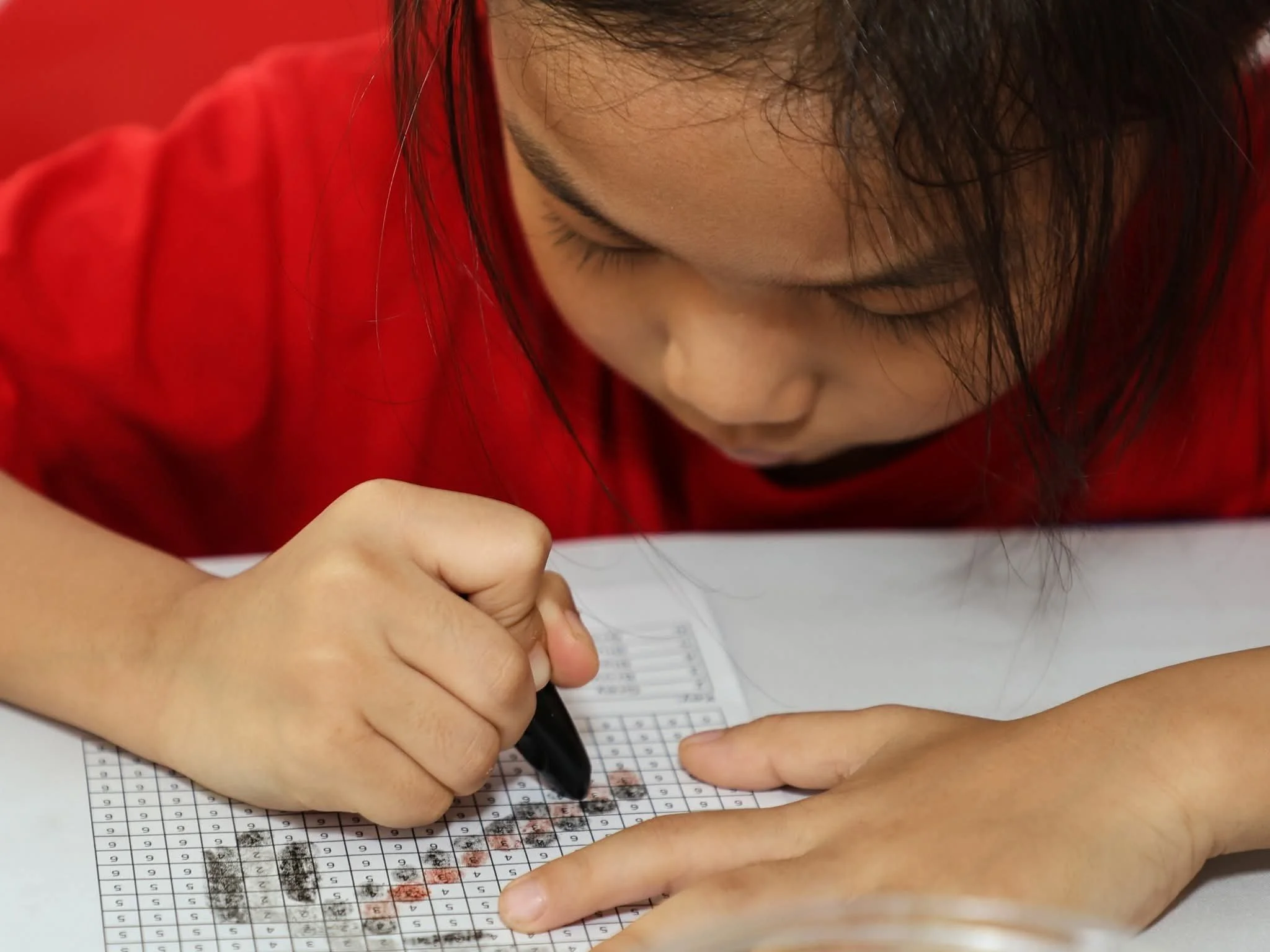 Passion Soul_Arts and Craft_Mountbatten KidsFest 2025_Minecraft_Pixel Art (Colour by Number)