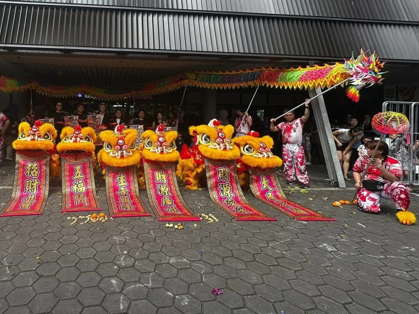 Passion Soul_Dragon Dance_Lion Dance