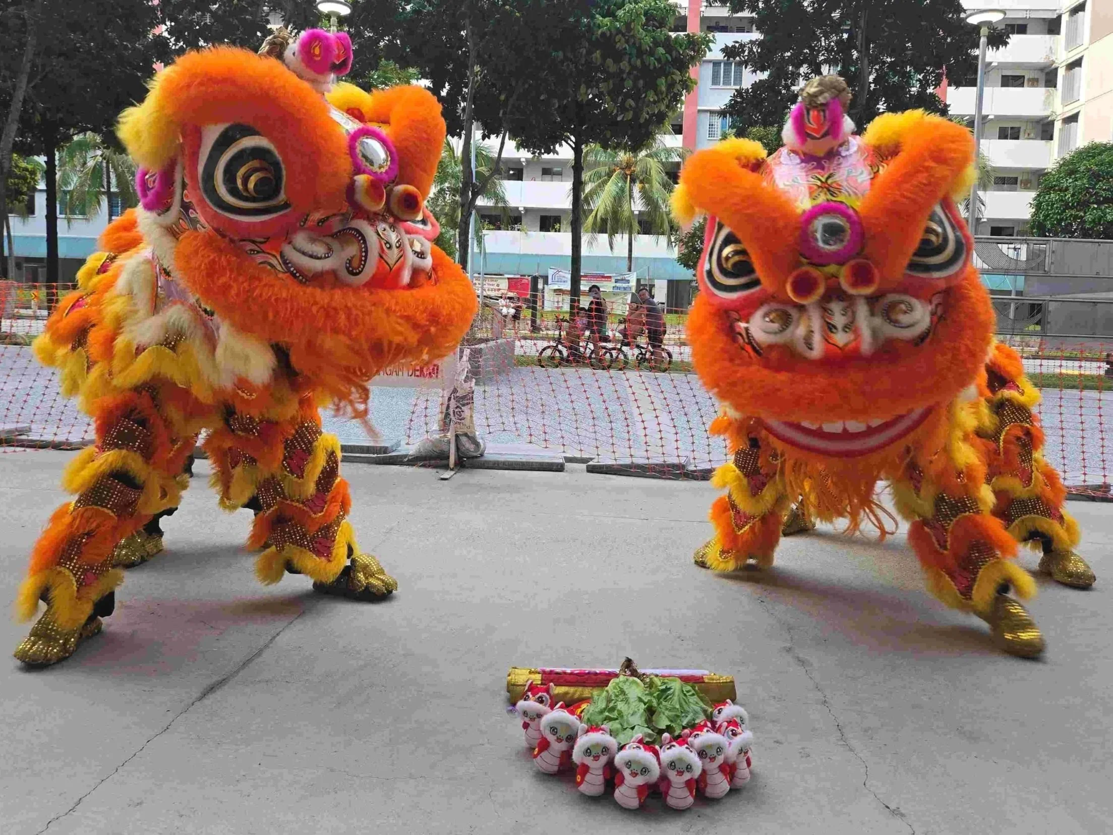 Passion Soul_Lion Dance_Chinese New Year_Tampines_Tampines North SunPlaza