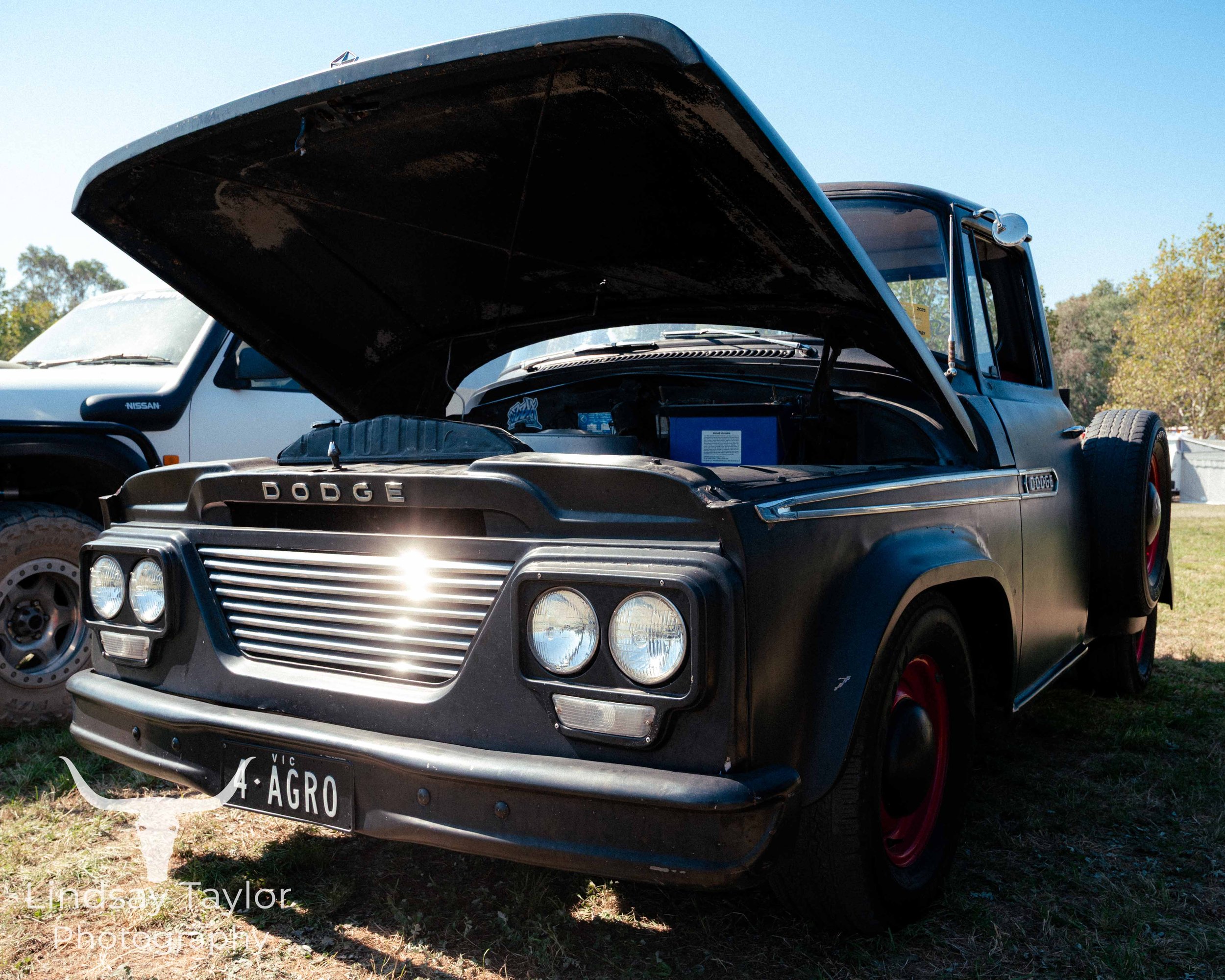 DSC_2112.jpg
