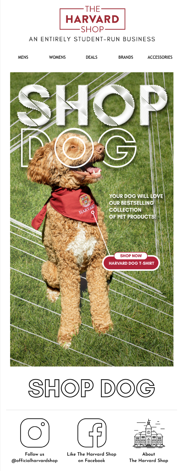 The Harvard Shop-Dog Email.png