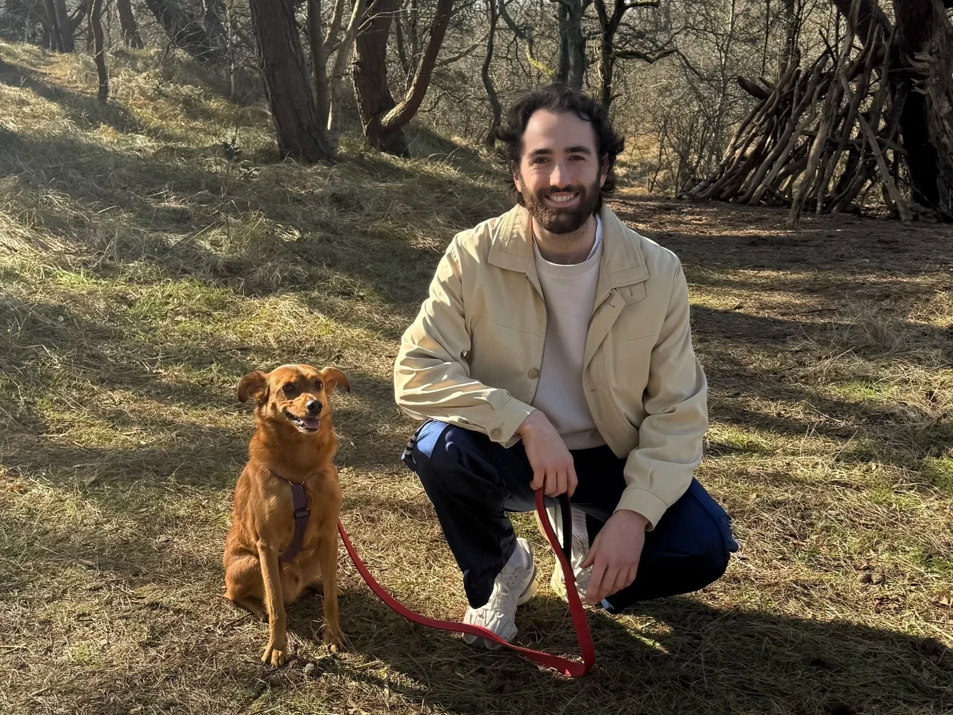 Gizmo, een rescue uit Roemenië. Gizmo logeert al jaren bij ons wanneer zijn baasje op reis moet!