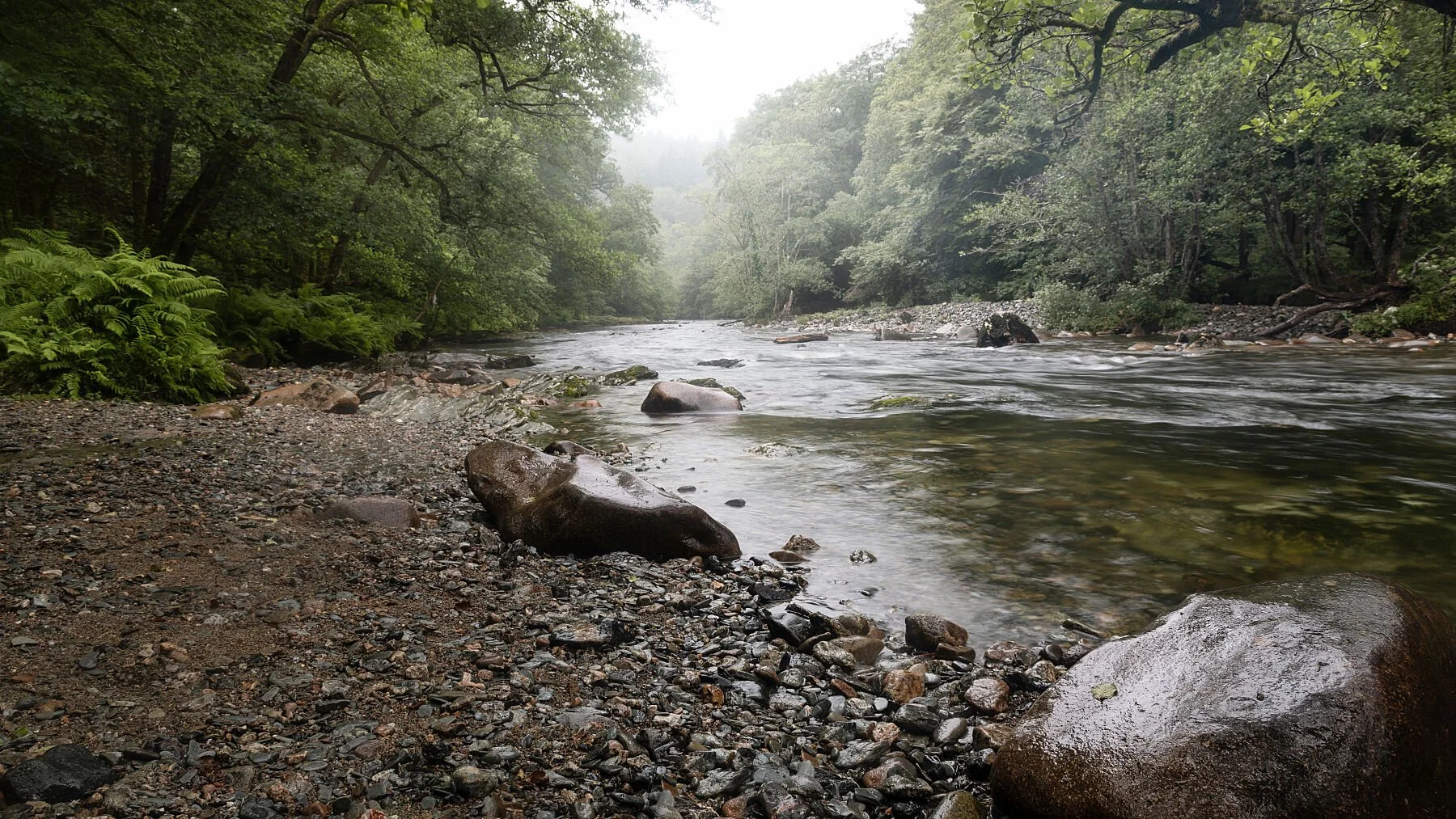 A Parting in the trees, Doublewaters Dartmoor National Park Fine Art Colour Print