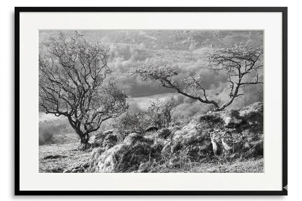 Across The Valley At Dawn. Black & White Print, Dartmoor National Park