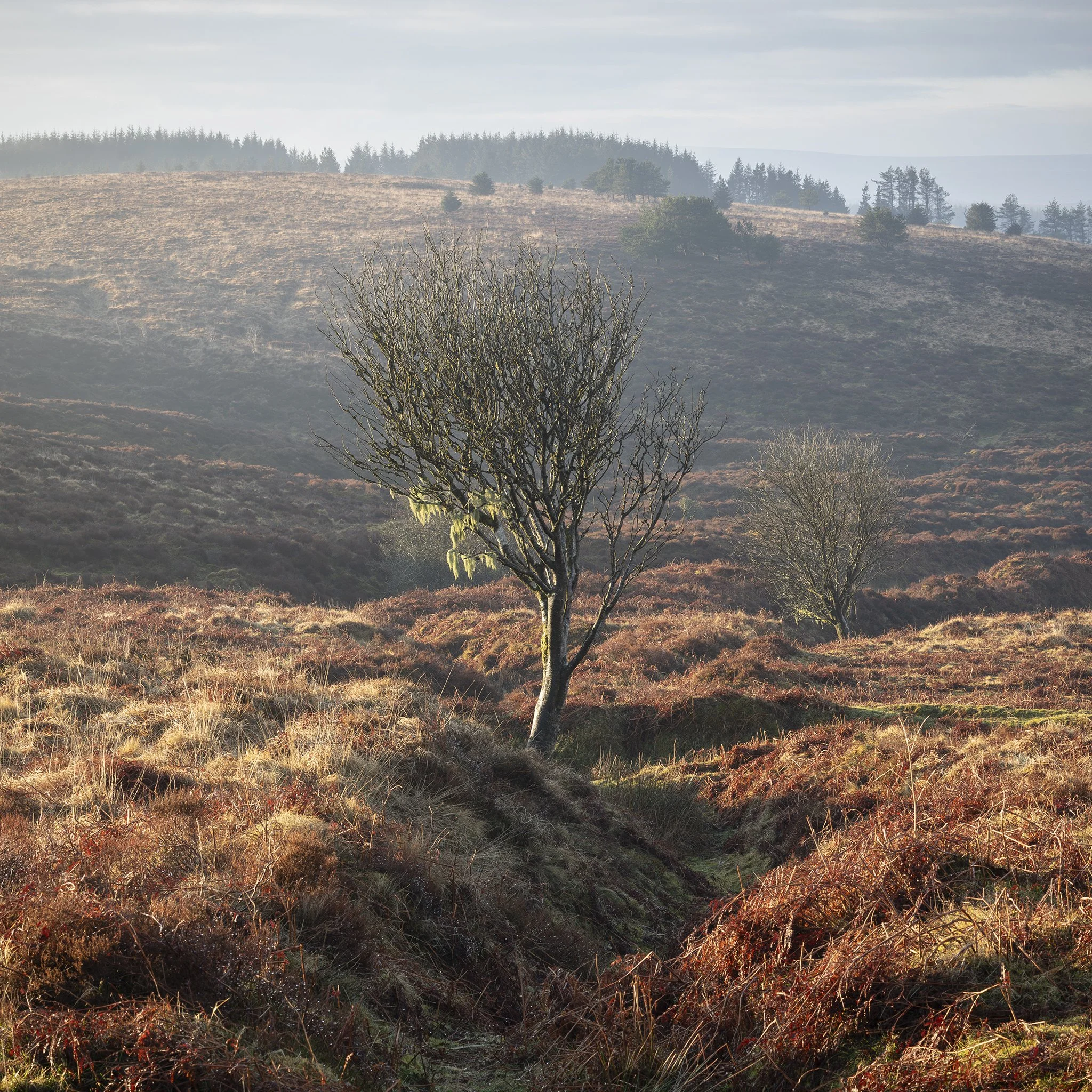 Dartmoor Landscape Photography (Colour Portfolio)