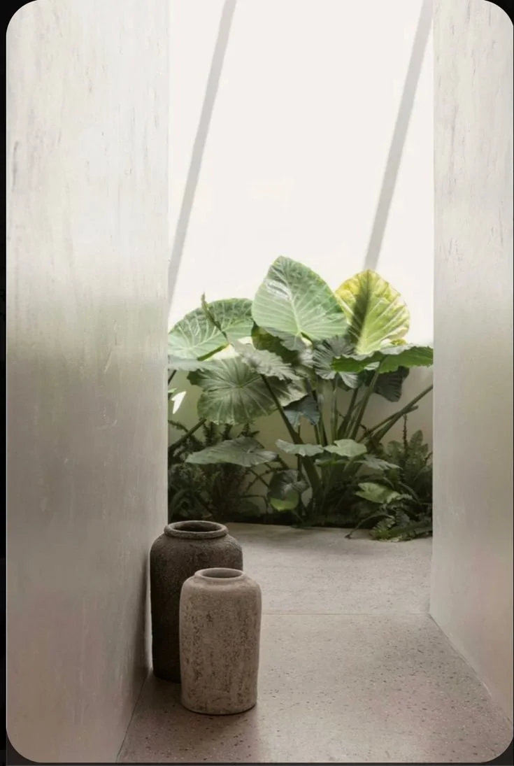 Women participating in a fitness or yoga class in a studio, lying on mats with their legs elevated against mirrors, practicing a pose.