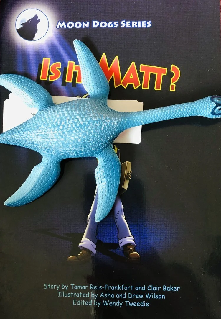 Graded Books - Level 0 - Is it matt