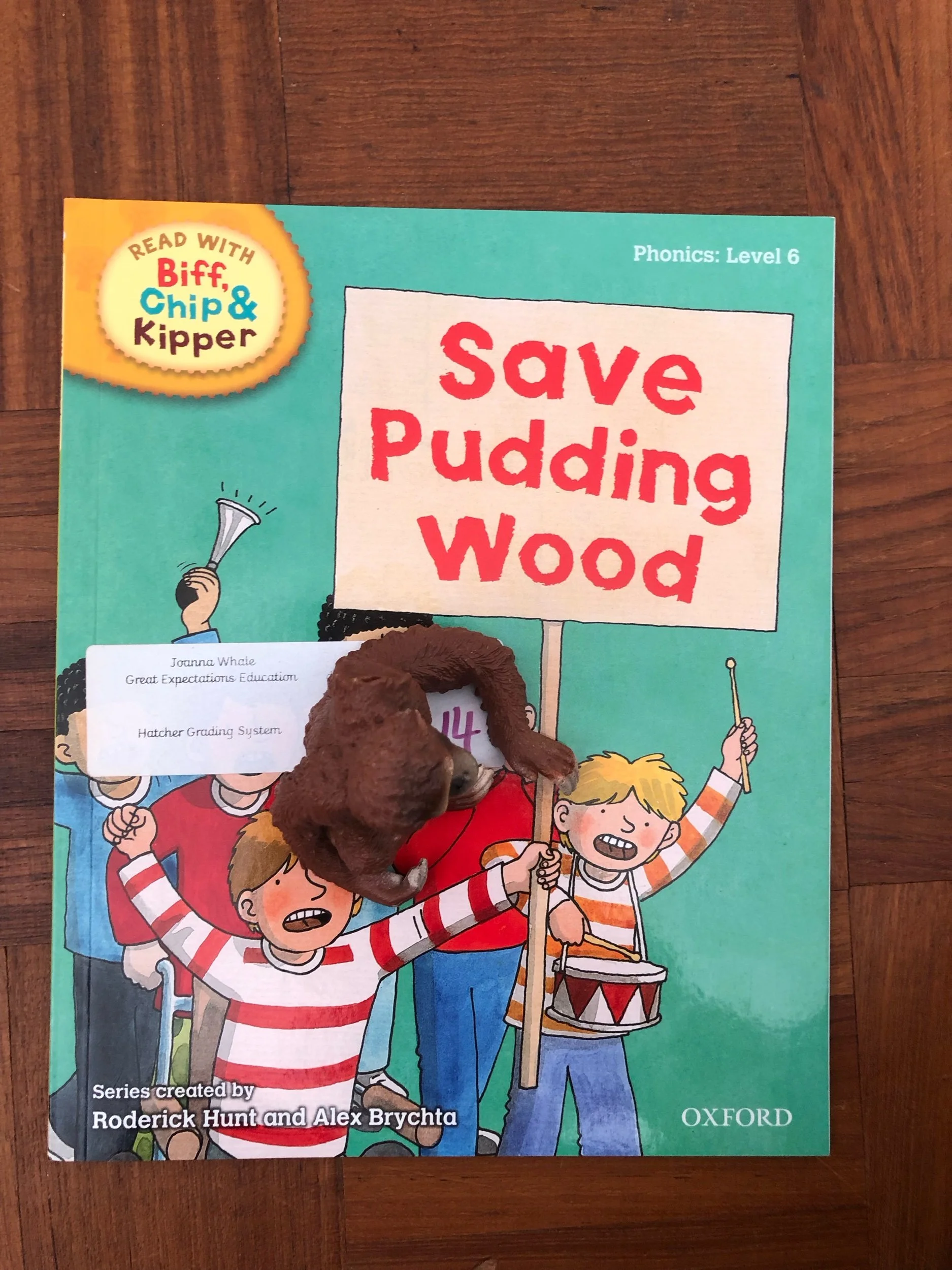 ‘Save Pudding Wood’ Roderick Hunt and Alex Brychta