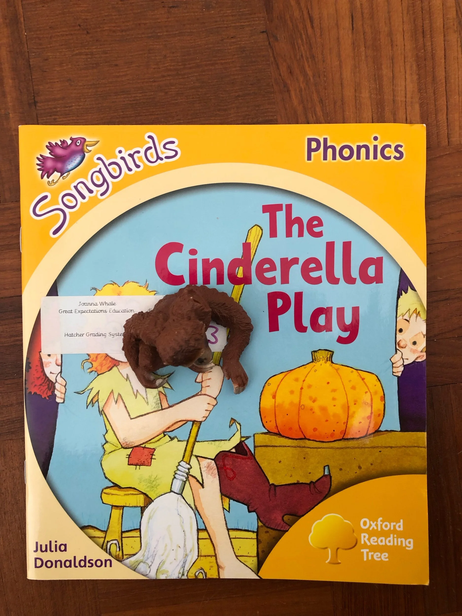 ‘The Cinderella Play’ by Julia Donaldson