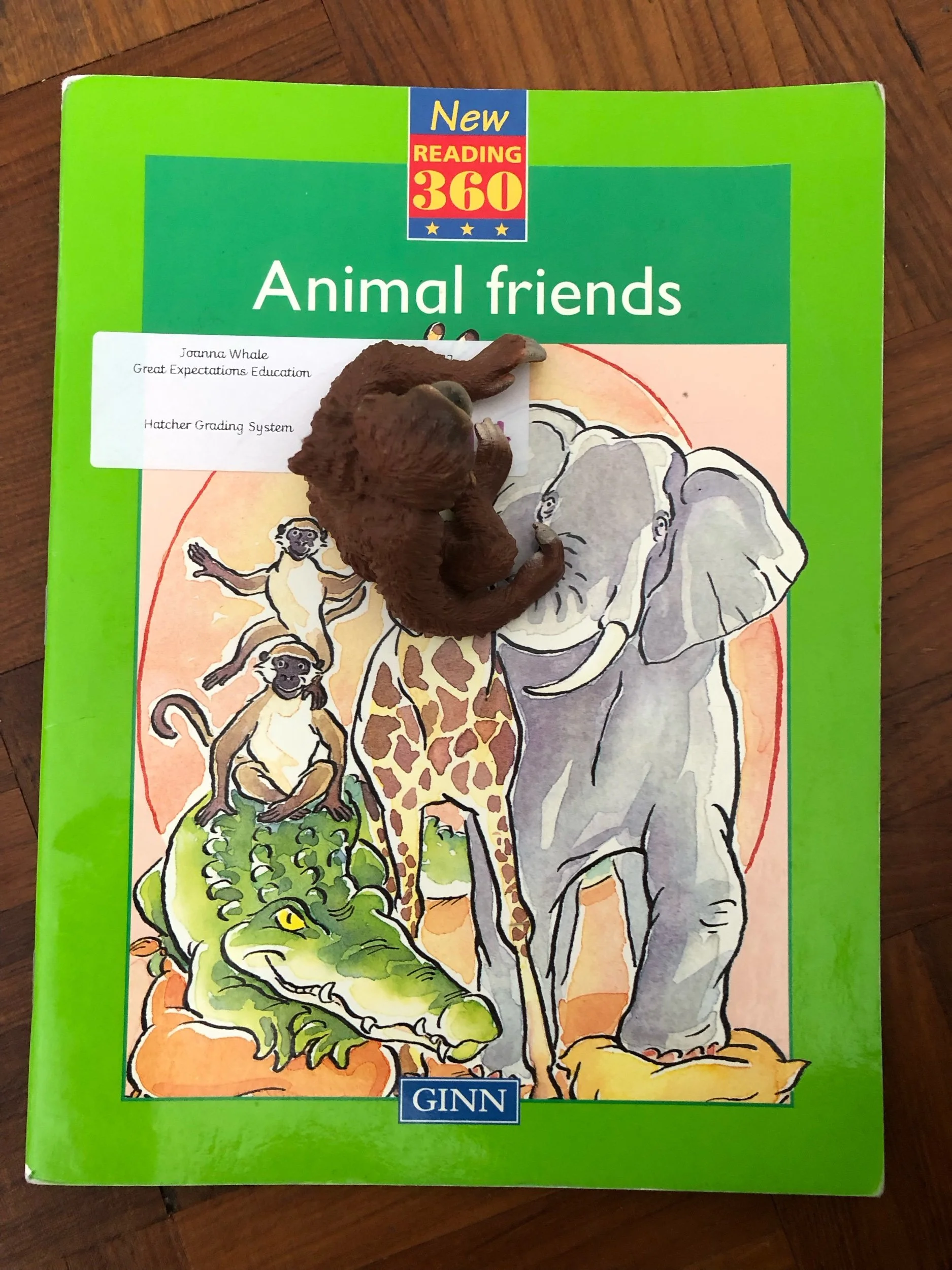 ‘Animal Friends’ Ginn 360