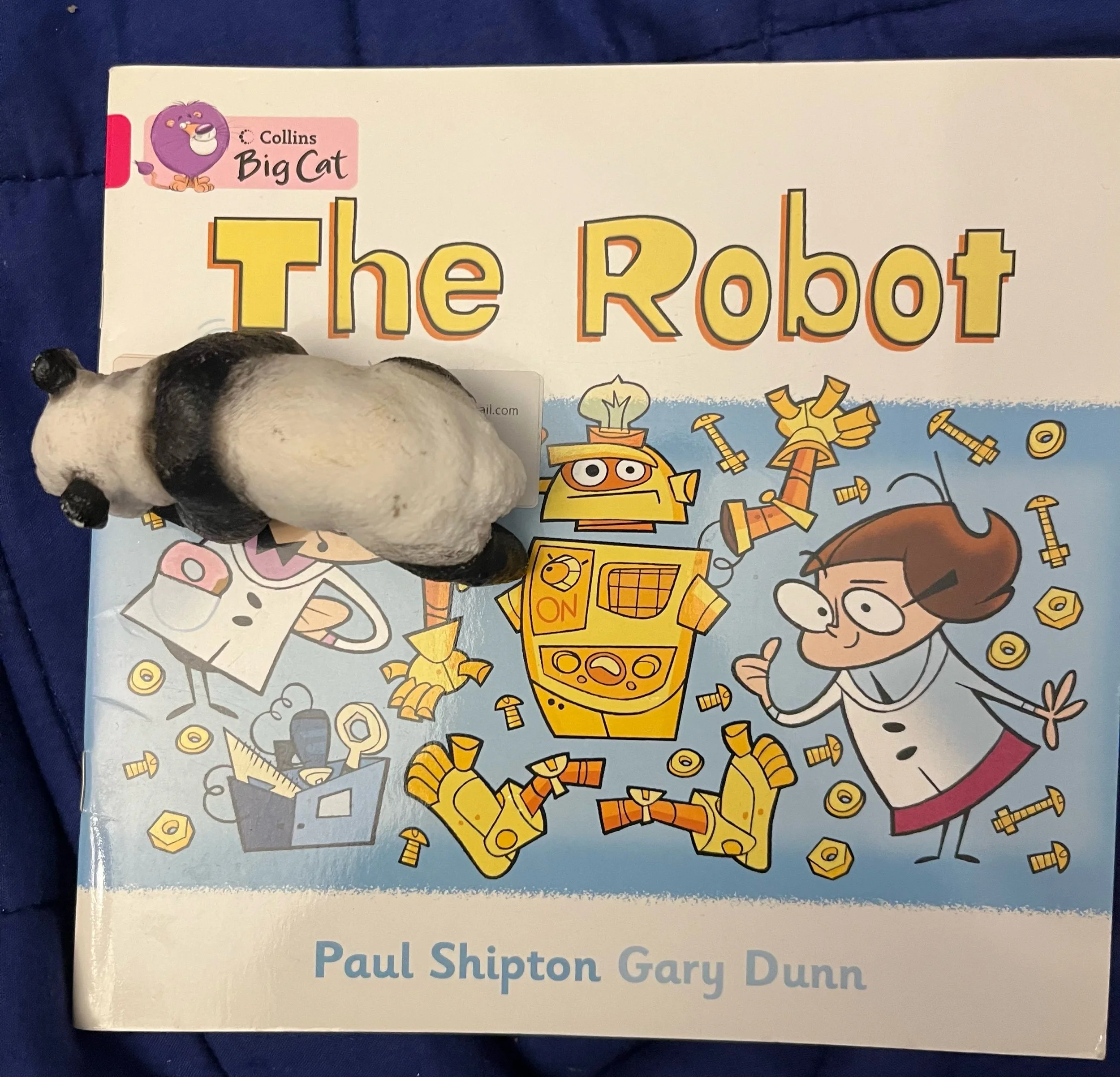 ‘The Robot’ by Paul Shipton and Gary Dunn (Level 3)