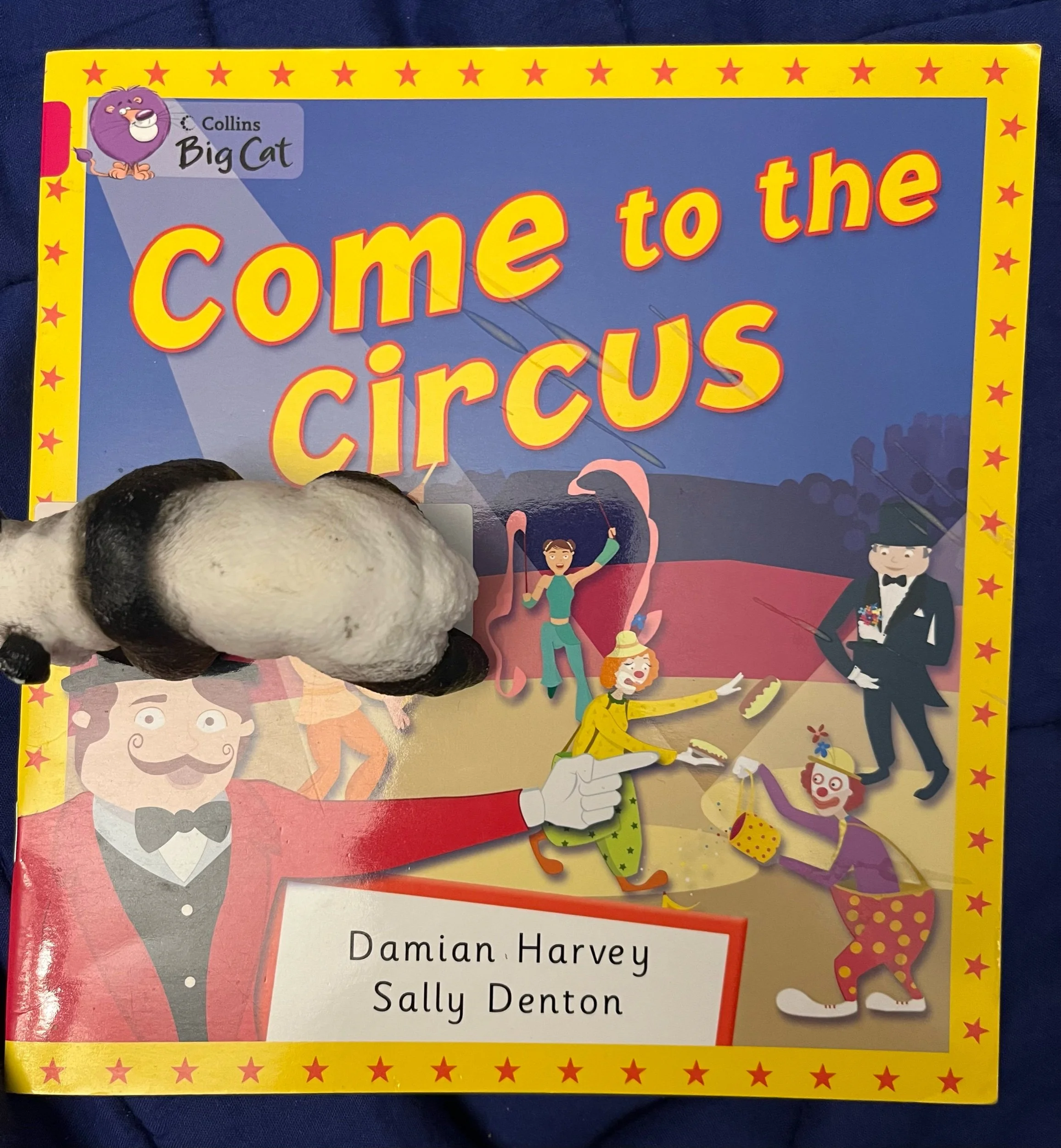 ‘Come to the Circus’ by Damian Harvey and Sally Denton (Level 3)
