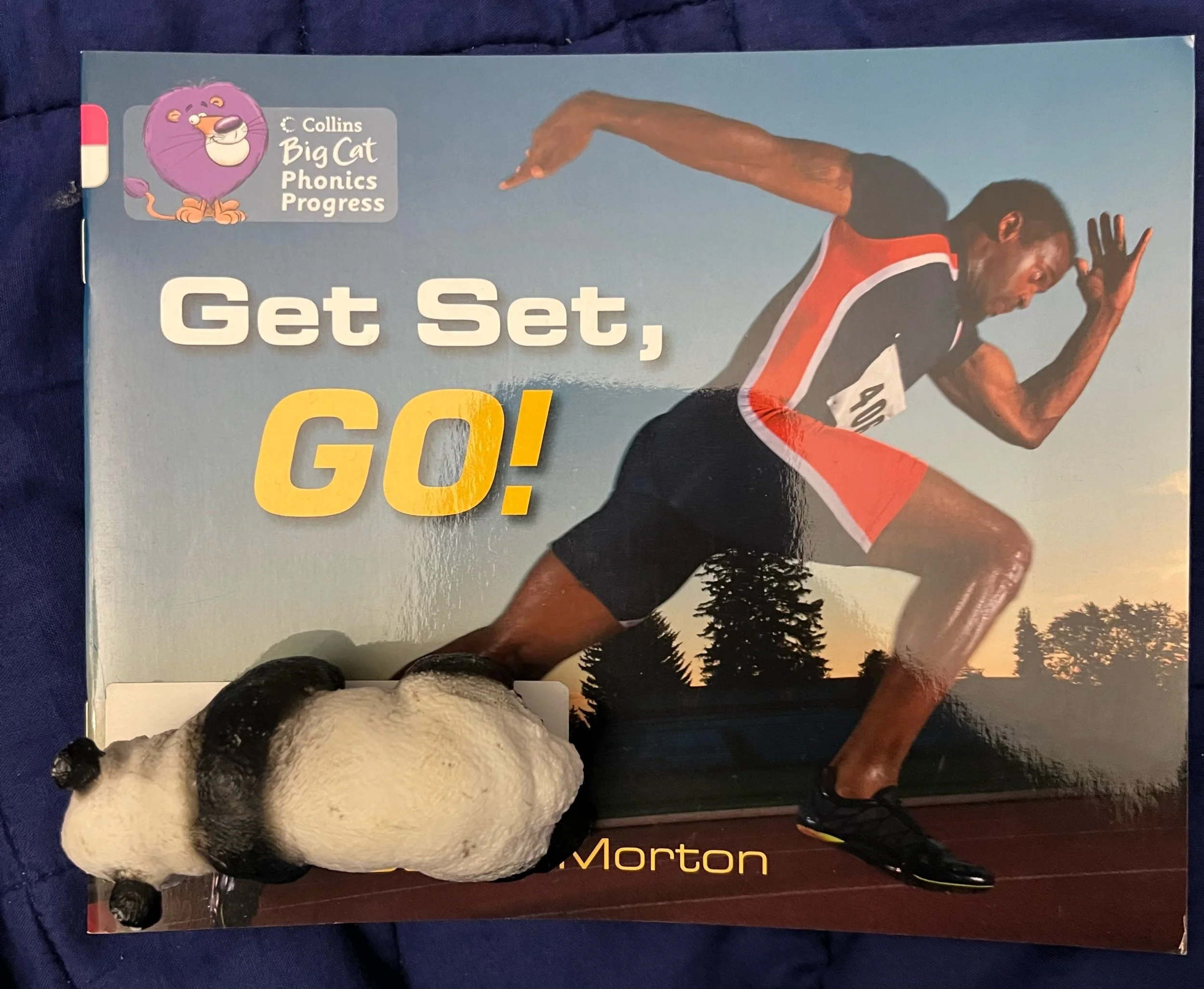 ‘Go Set, Go!’ by Sasha Morton (Level 3)