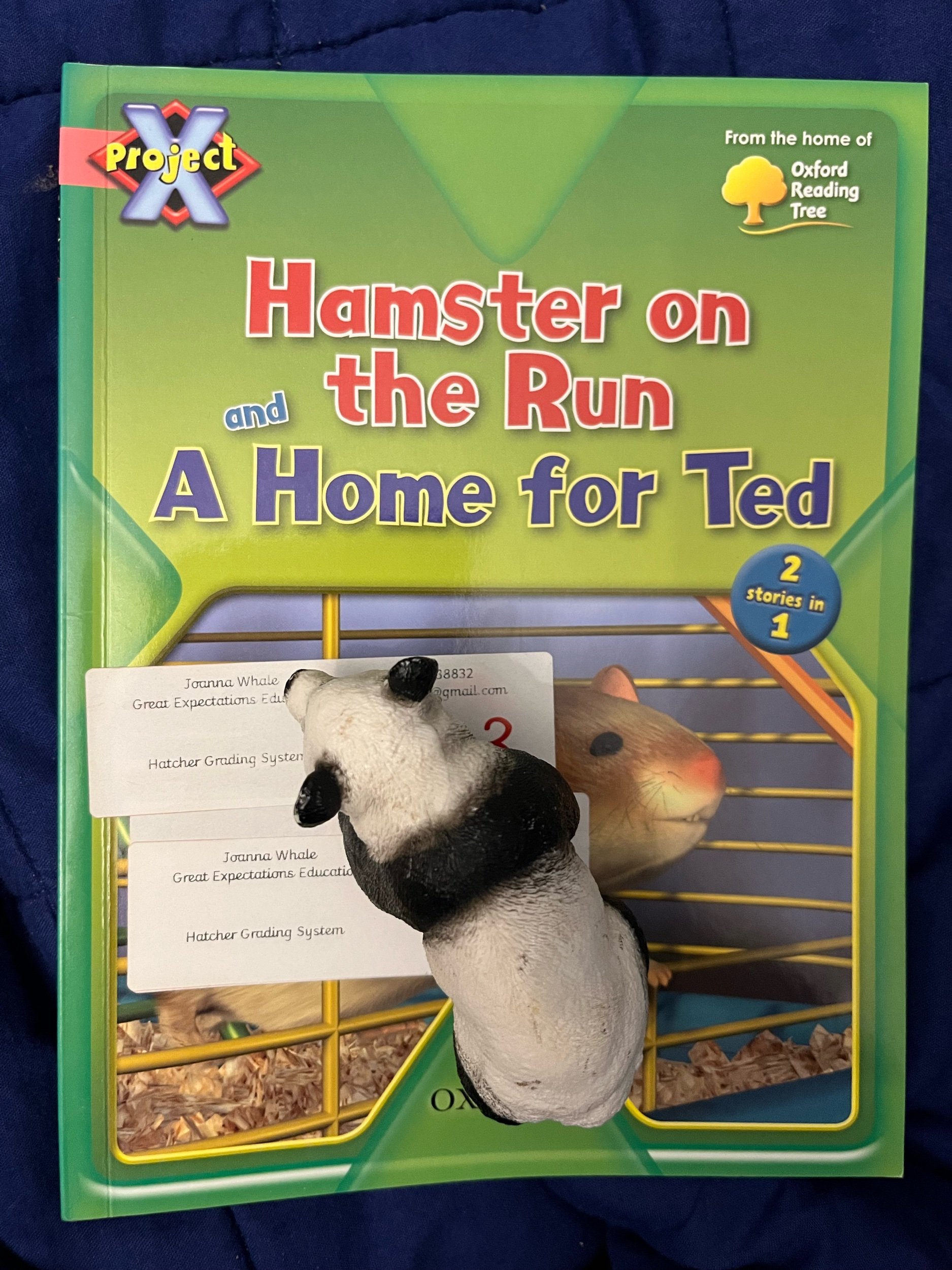 ‘Hamster on the Run’ (Project X) Level 3