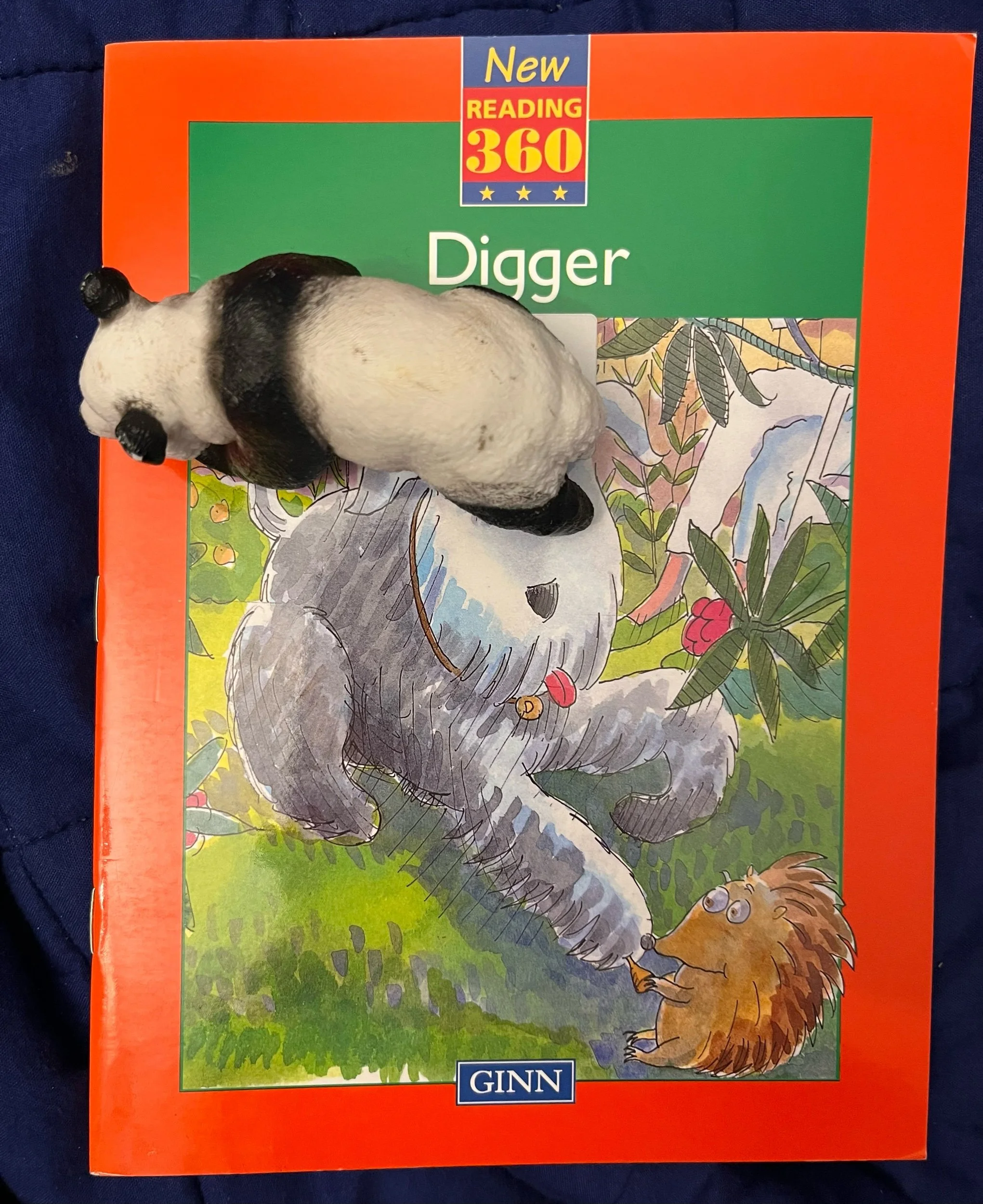 ‘Digger’ (Level 3)