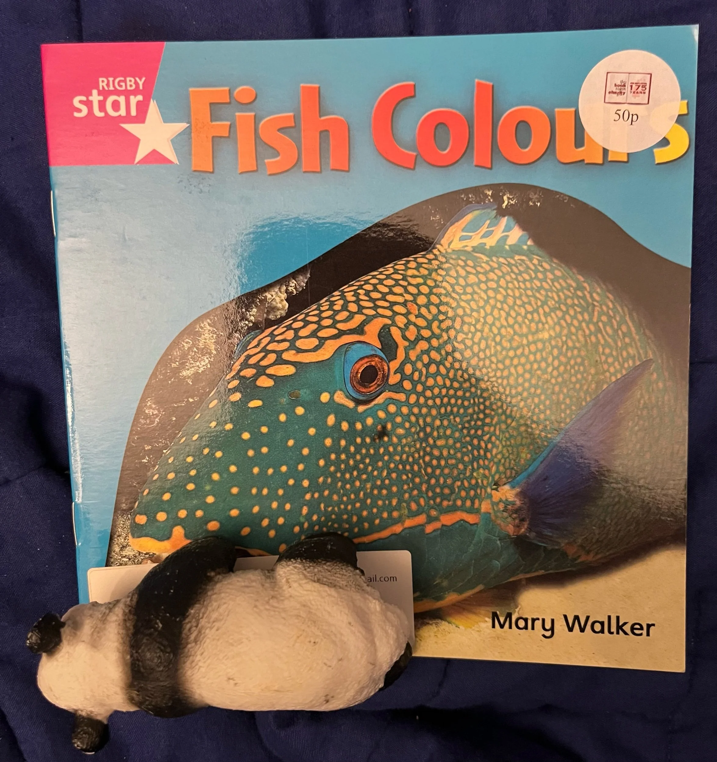 ‘Fish Colours’ by Mary Walker (Level 3)