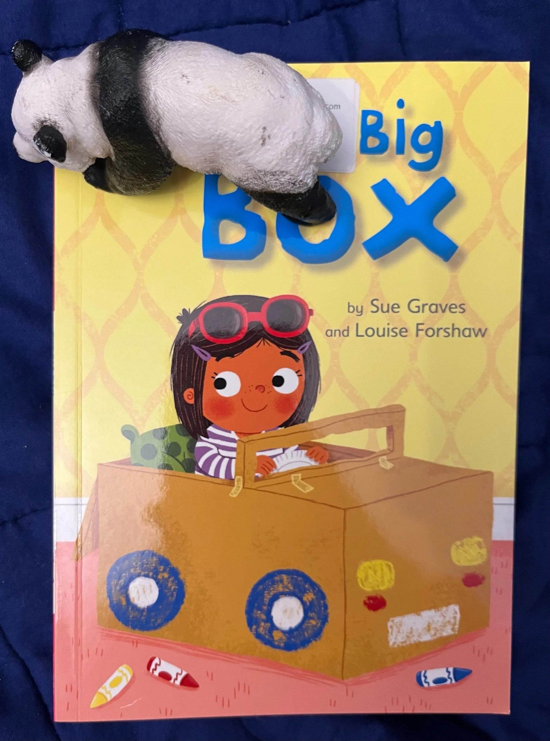 ‘The Big Box’ by Sue Graves and Louise Forshaw (Level 3)