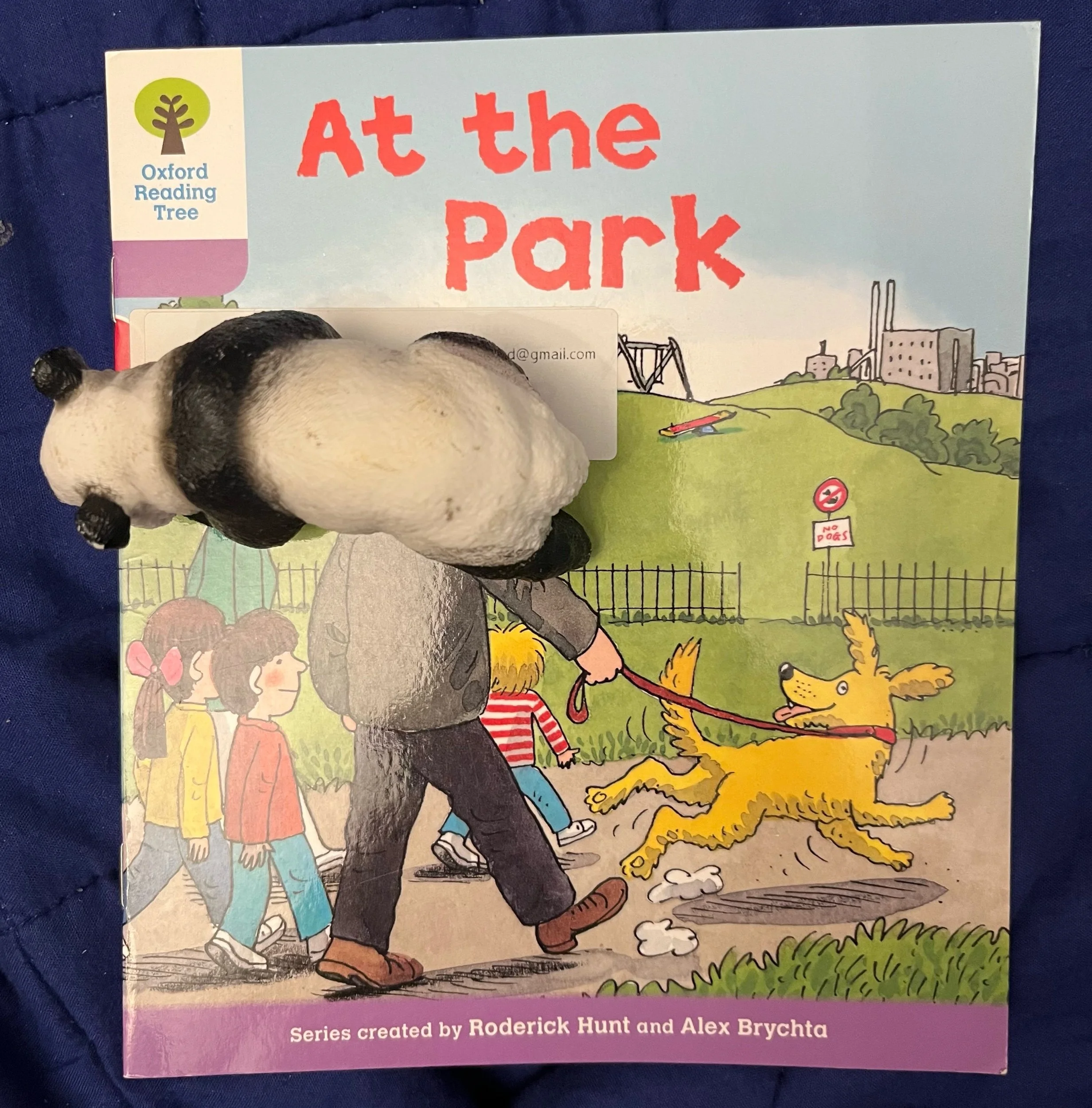 ‘At the Park’ (Oxford Reading Tree) Level 3