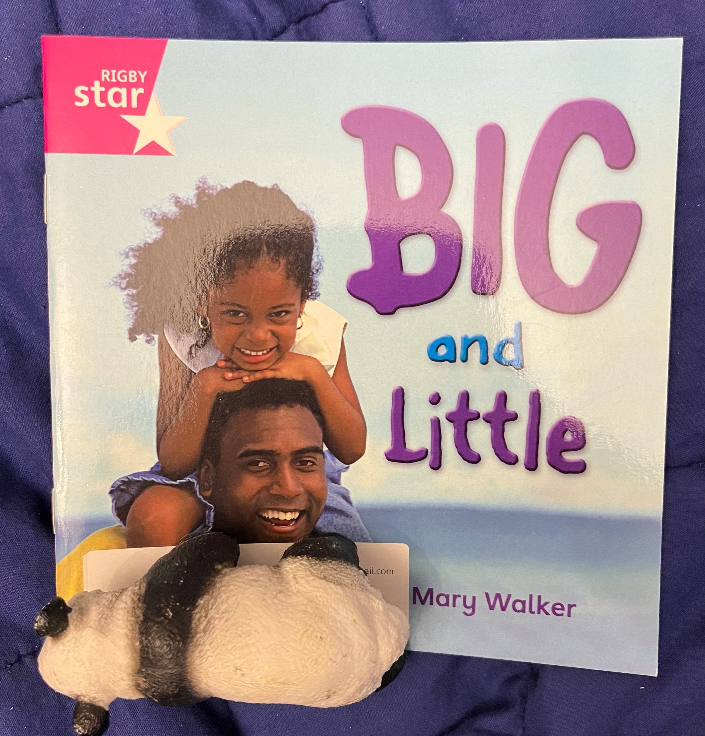 ‘Big and Little’ by Mary Walker (Level 3)